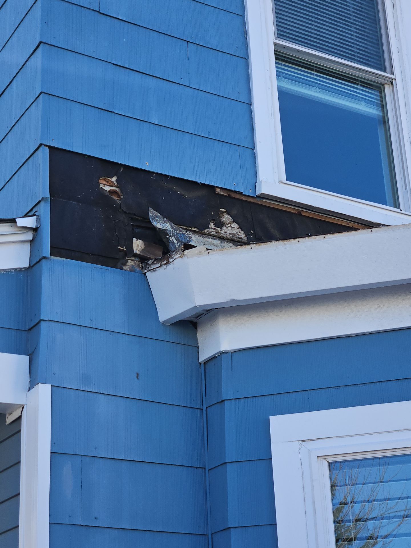 Asphalt & Flat roofing | Haverhill by Mighty Dog Roofing of Greater Middlesex County