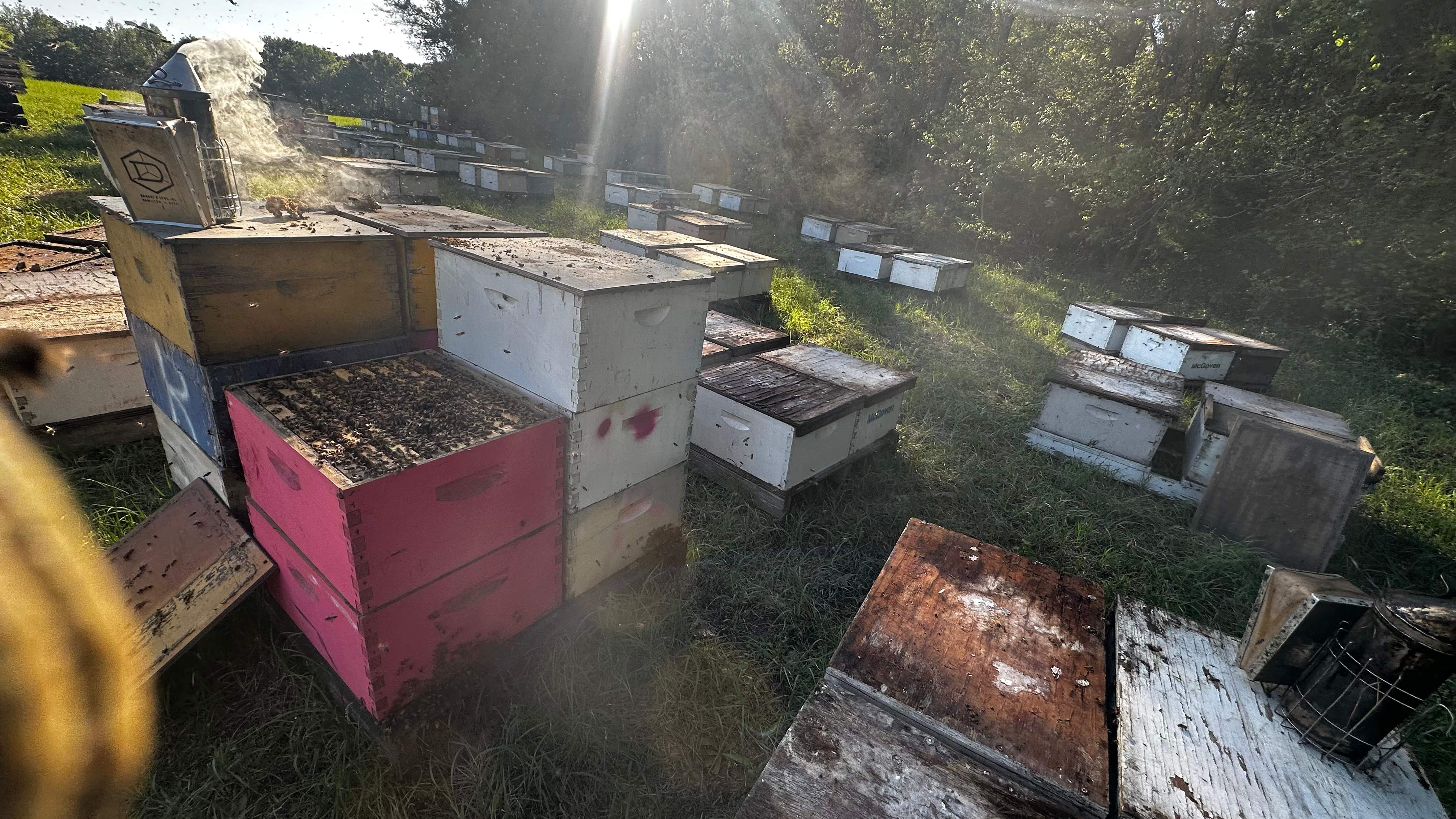 Traylor's Hay Meadow Apiary by Rockwall Honey Bee Company