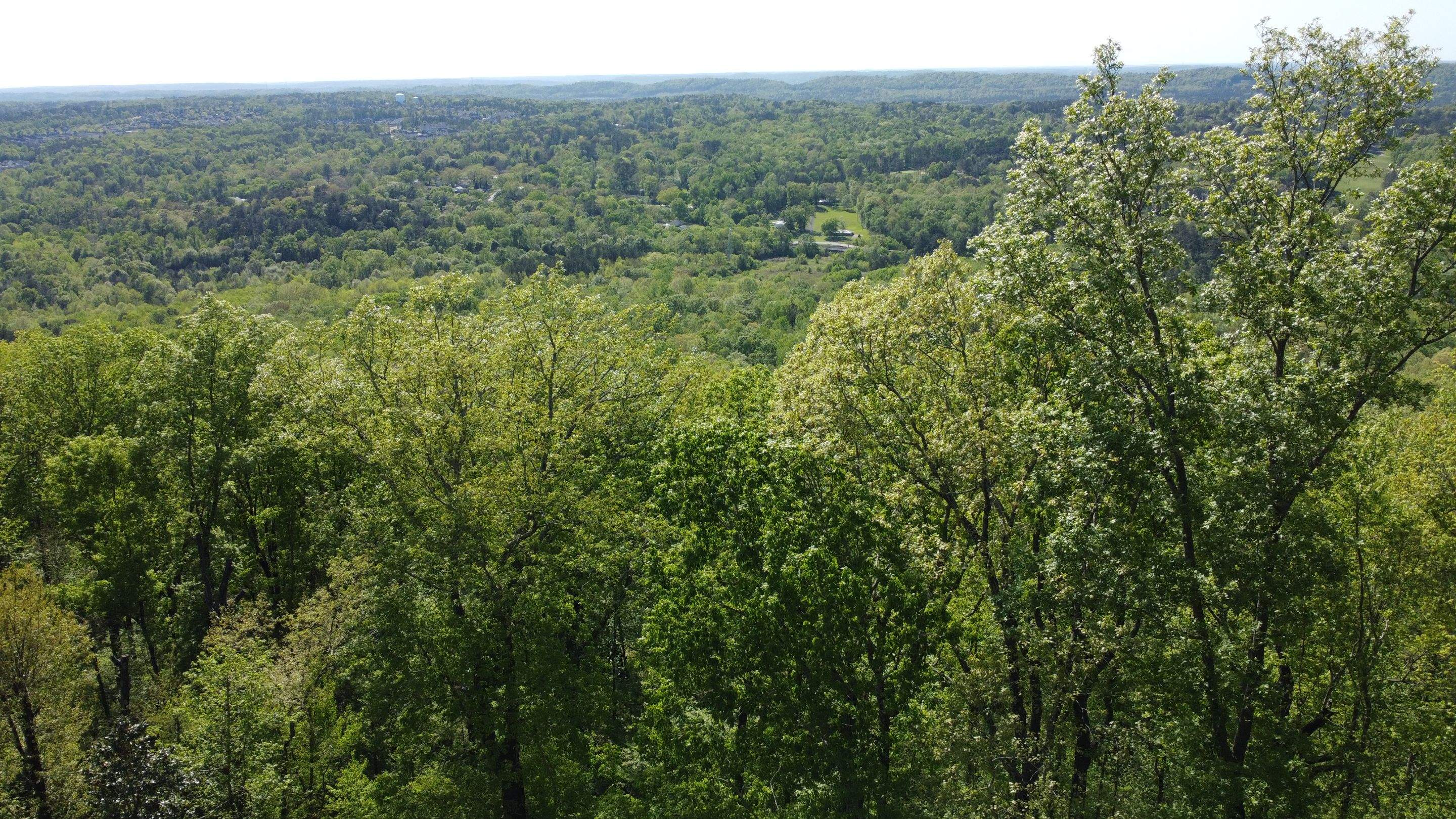 Shades Crest - Vent Repair by Pillar and Pine