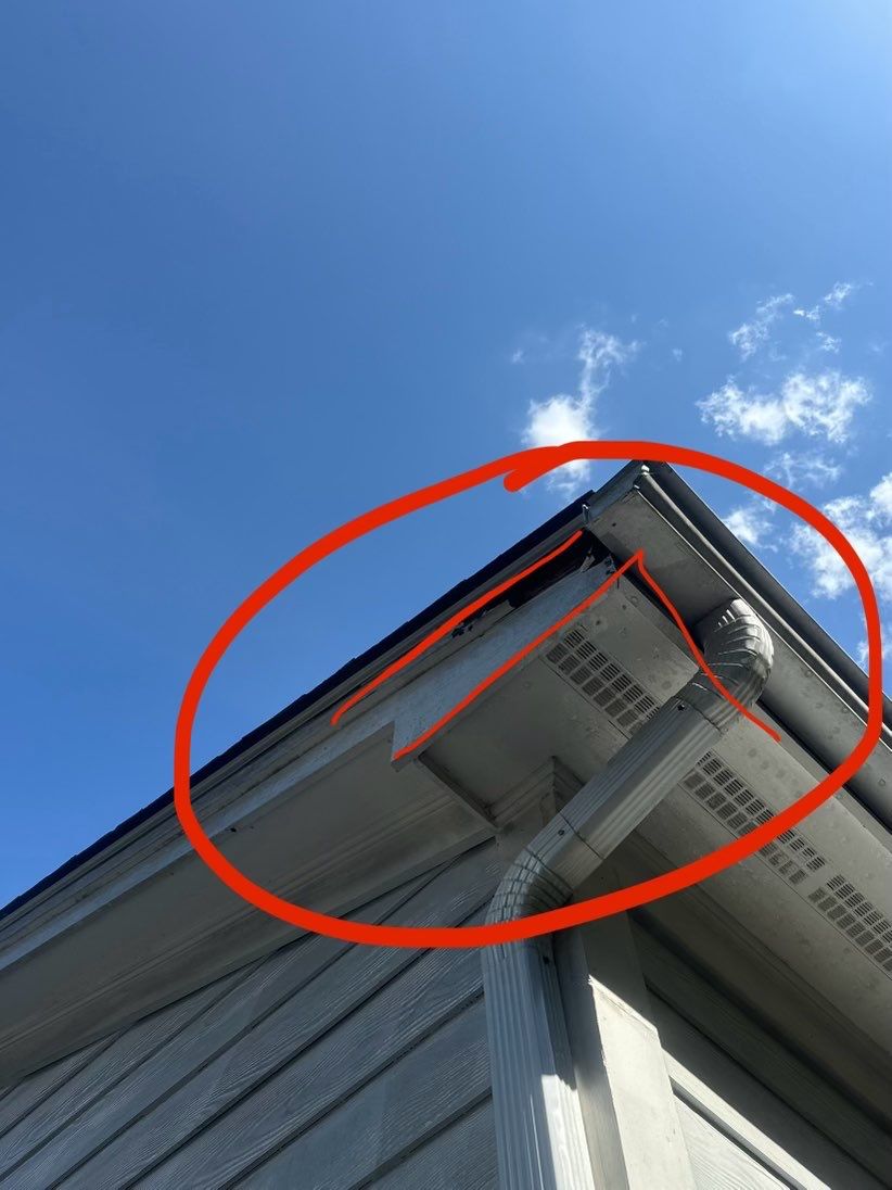 Exterior Transformation by GonzalezPainters & Contractors Inc 