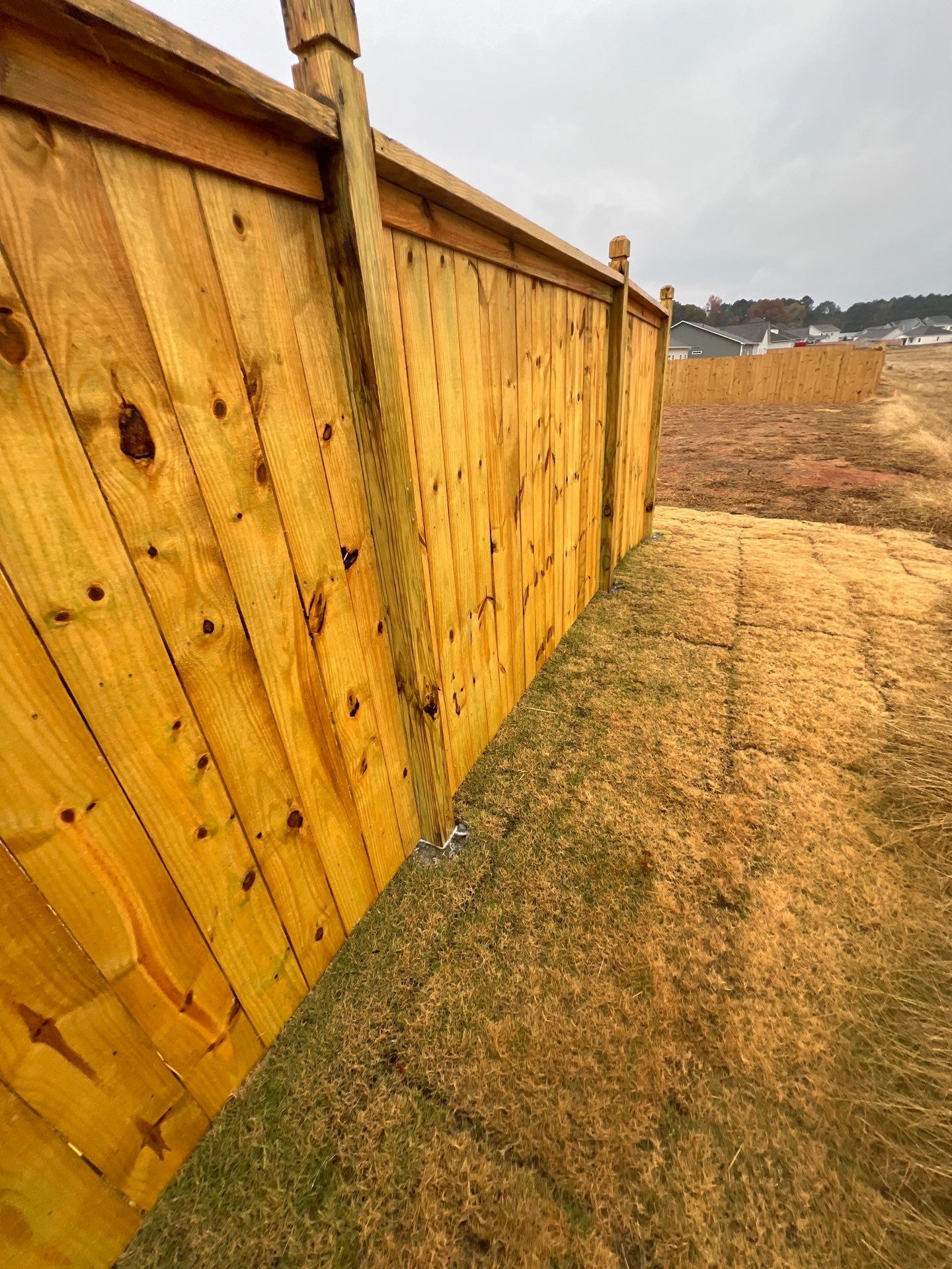 Fence Staining using Chestnut by SSE by Titans of Timber Fence & Stain