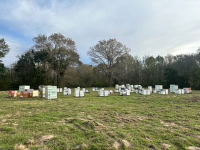 Dannelly Farm Apiary