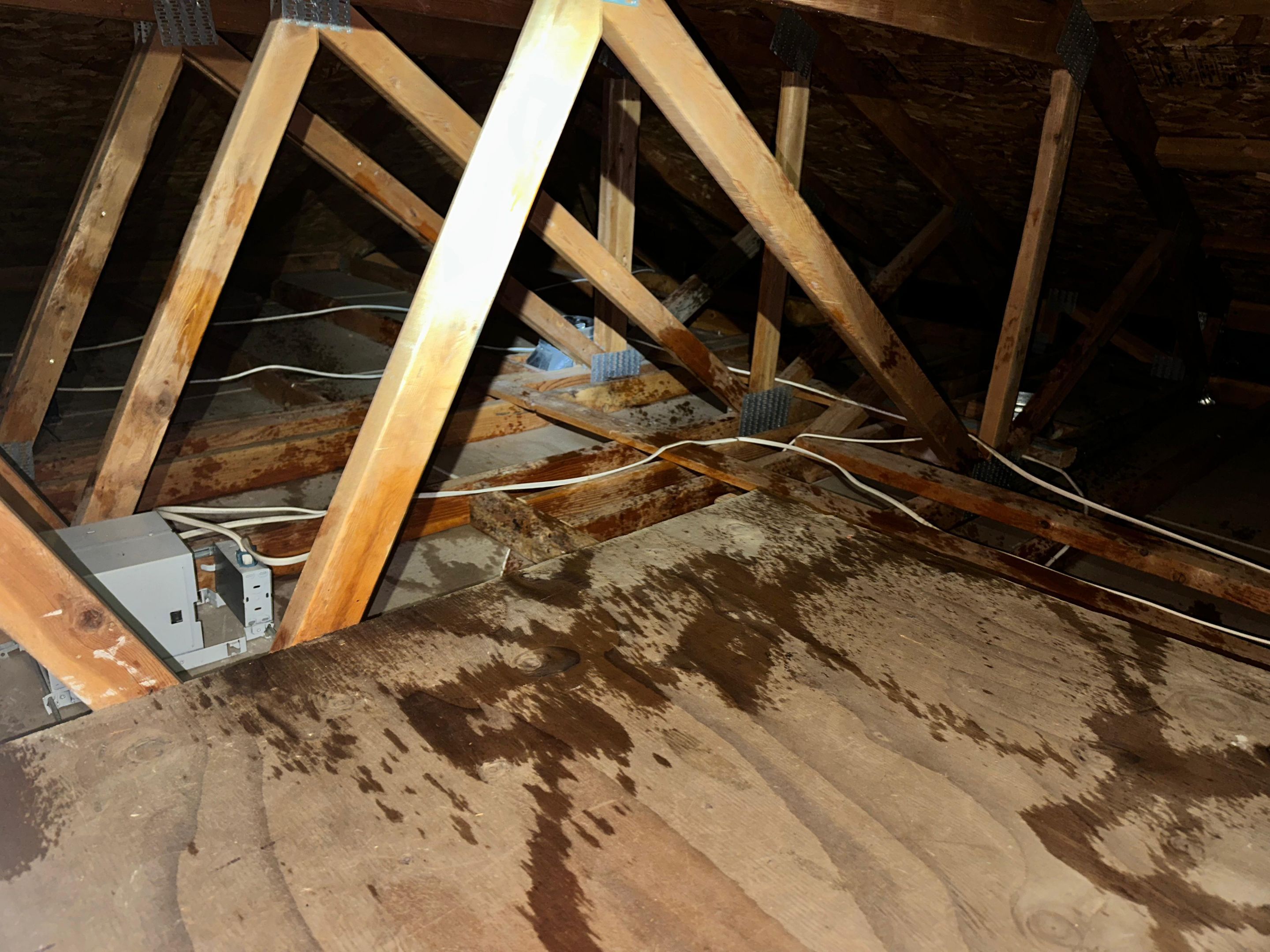 Project in Chino Hills by Insulation Labs