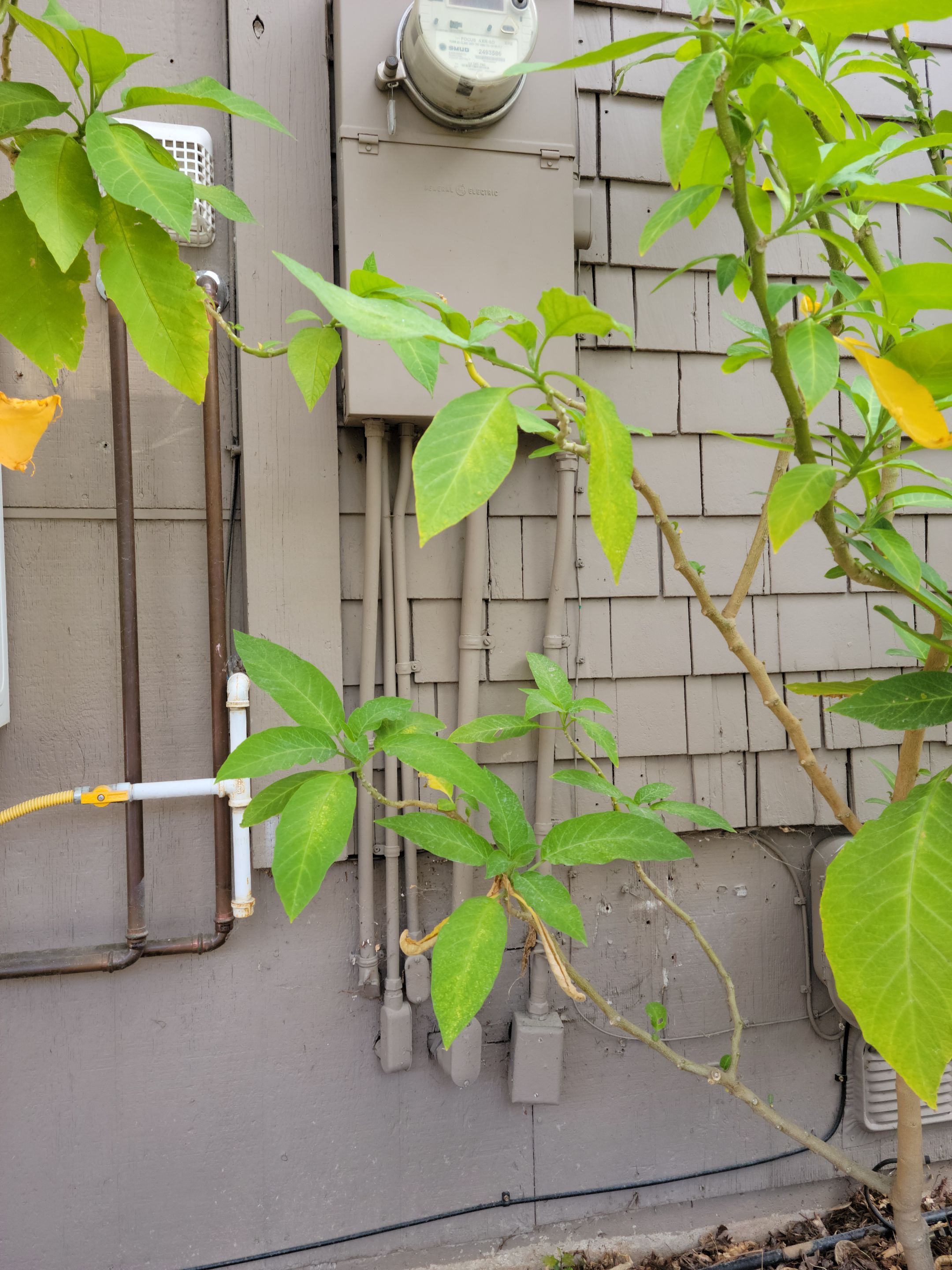 meter/main upgrade/relocation by Peach Electric Inc