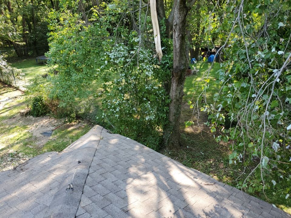 Storm Damaged Tree Removal  by Mike Jones & Sons Tree Service LLC 