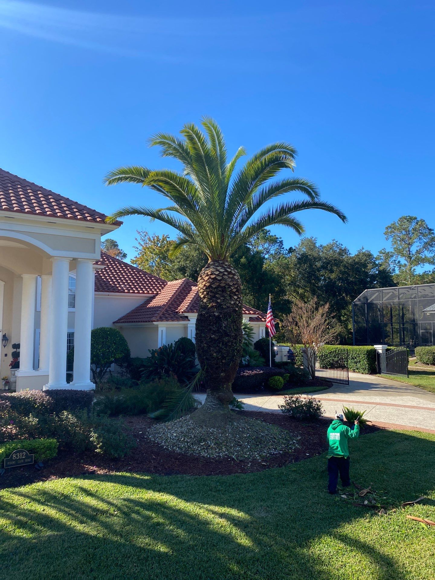 Deerwood Resident | Palm Trimming & Ground Cover by ProGreen Services