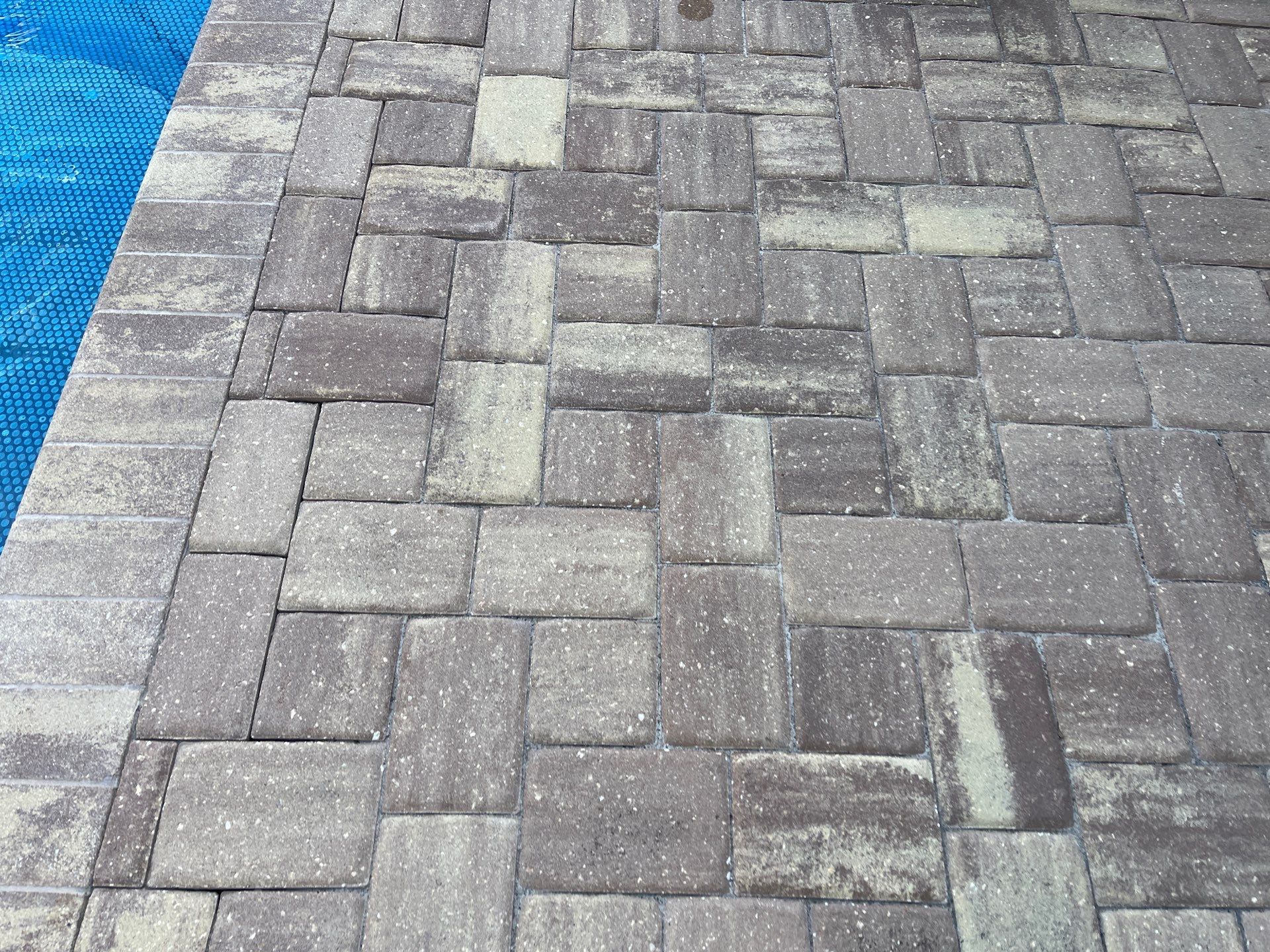Pool Pavers using TopSeal and PolySand by DuraSeal