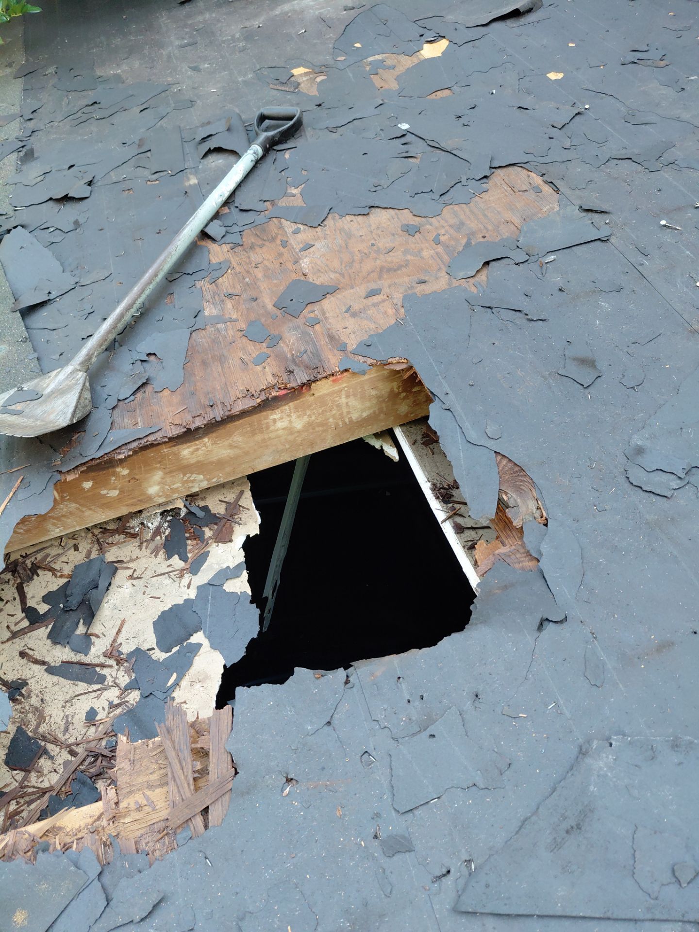 Alexandria: Residential Roof with CertainTeed Landmark Pro in Max Def Burnt Sienna by RM Banning, Inc.