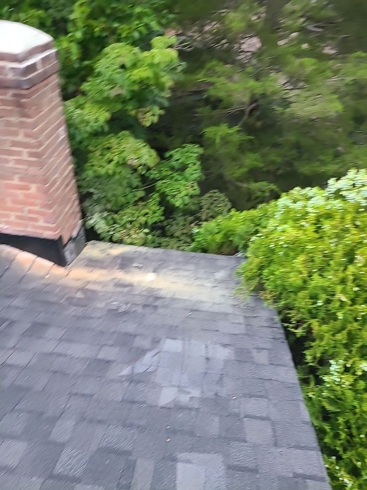 Vienna: CertainTeed Landmark Pro Architectural Shingles in Max Def Pewterwood by RM Banning, Inc.