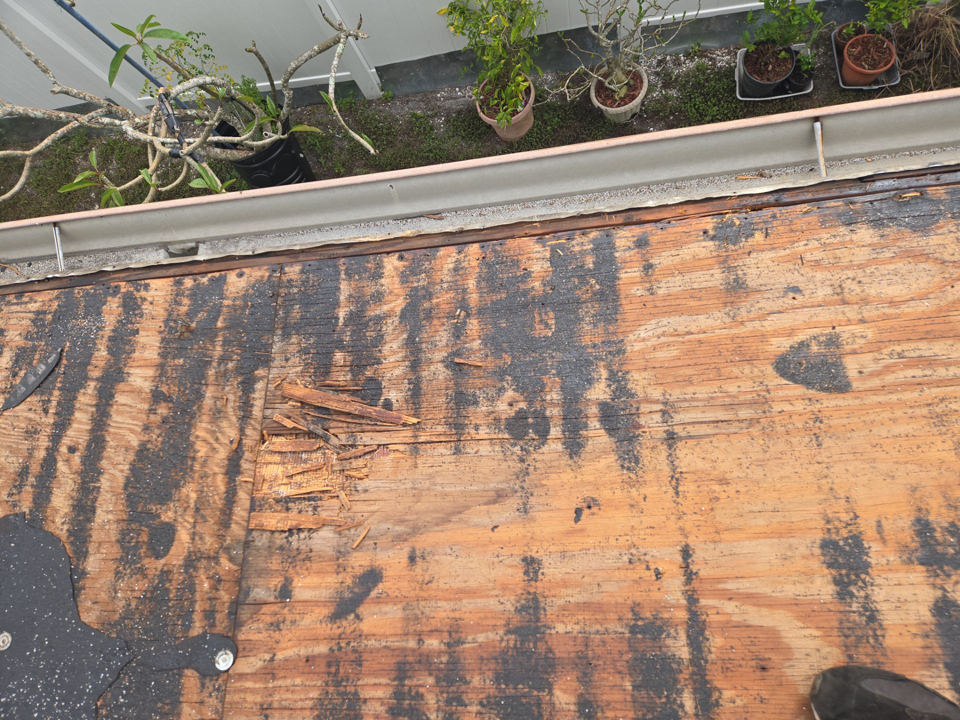 Project in Largo 33773 by Mitchell Roofing Company LLC 