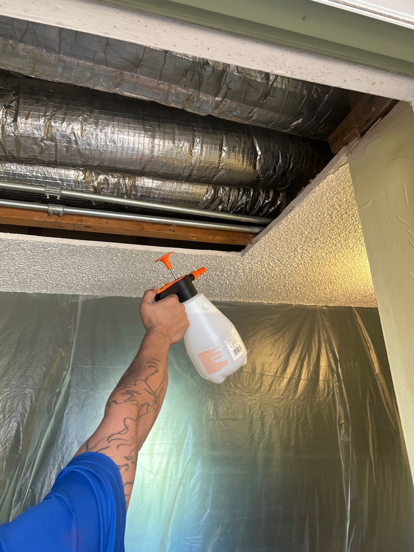 Pebble Springs Mold Remediation by Ampm Restoration Services