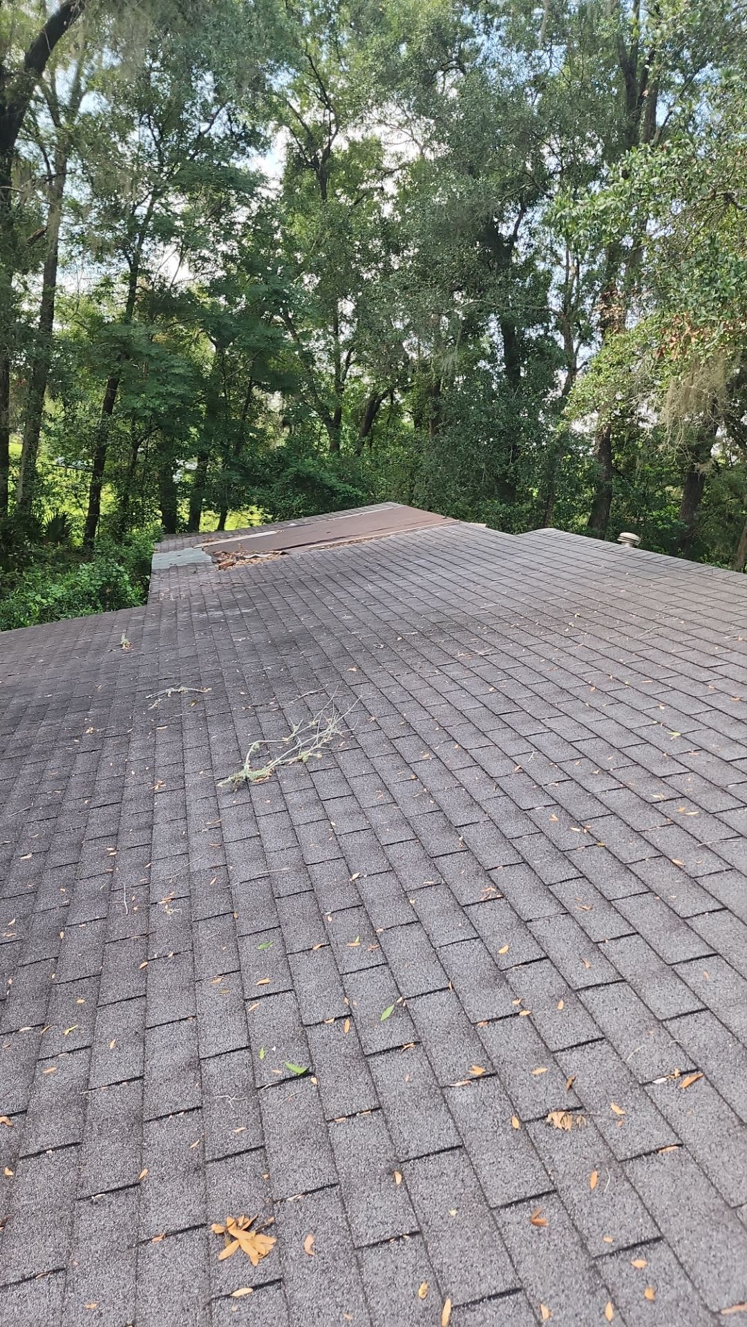 Residential Roofing Installation Featuring Tamko Titan XT Shingles in Webster by Pinnacle Roofing Group