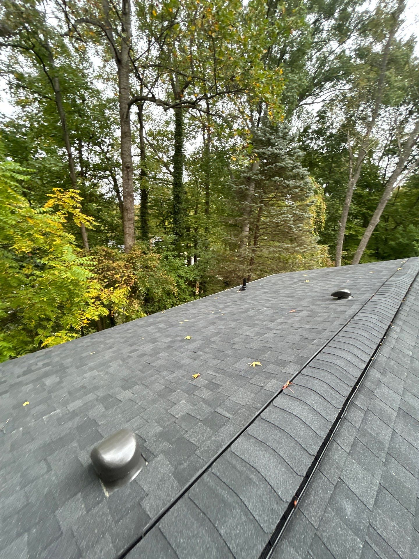 Burke : Residential Roof Replacement with CertainTeed Landmark Pro in Max Def Charcoal Black  by RM Banning, Inc.