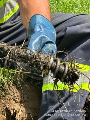 Septic System Pump Replacement and Sewer Line Root Removal in Dunmore