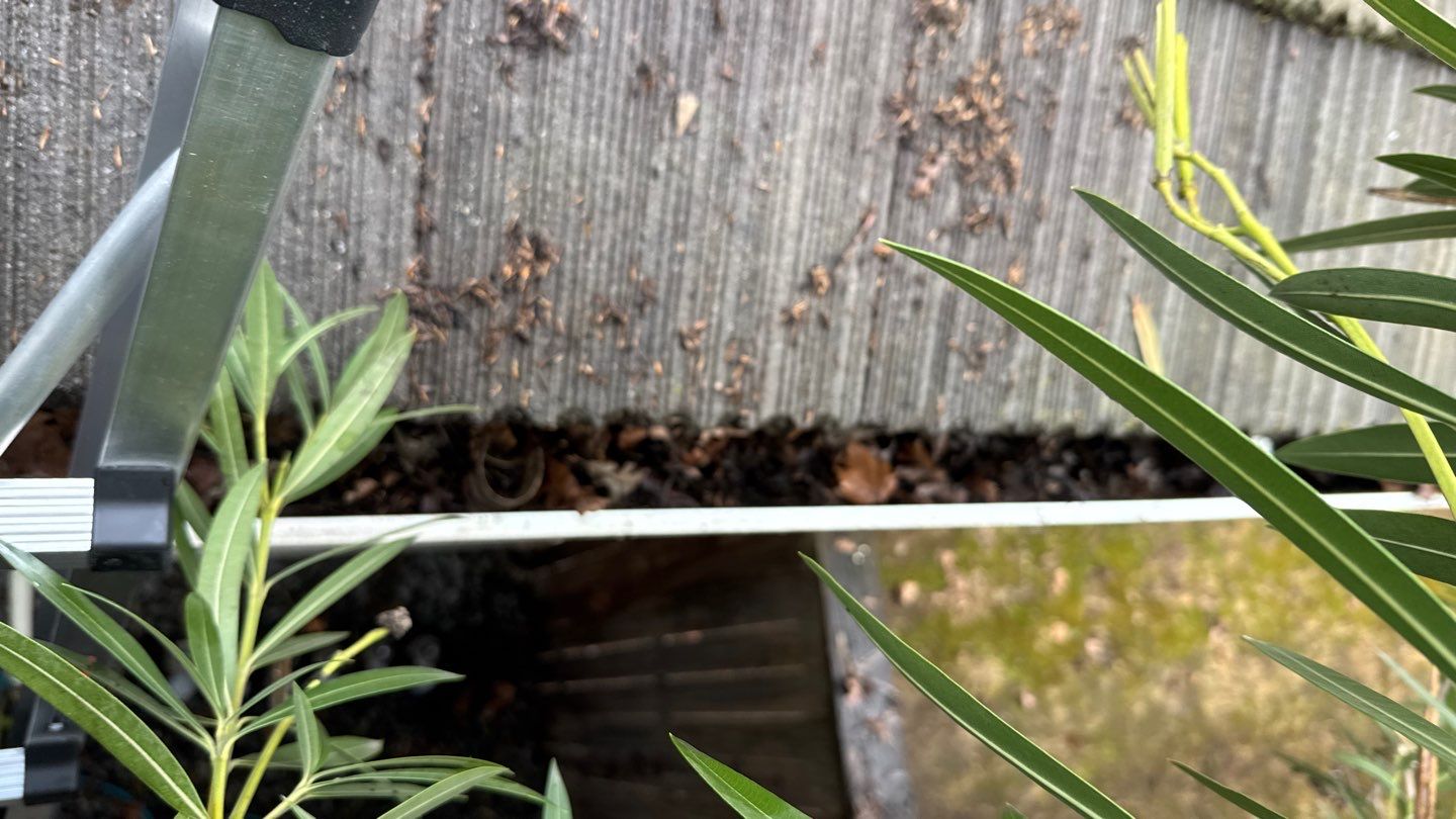 Project by NuLead Construction Inc by NuLead Construction Inc