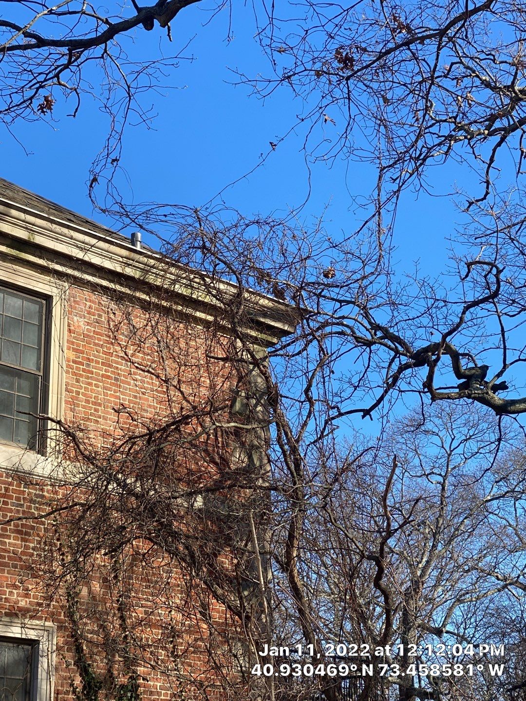Caumsett Mansion by Above All Gutters 