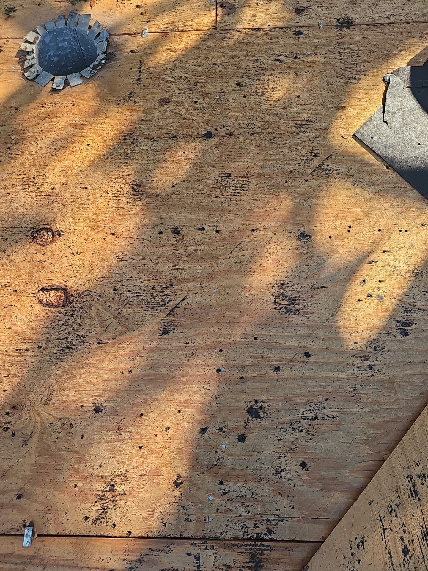 Project in Dunedin 34698 by Mitchell Roofing Company LLC