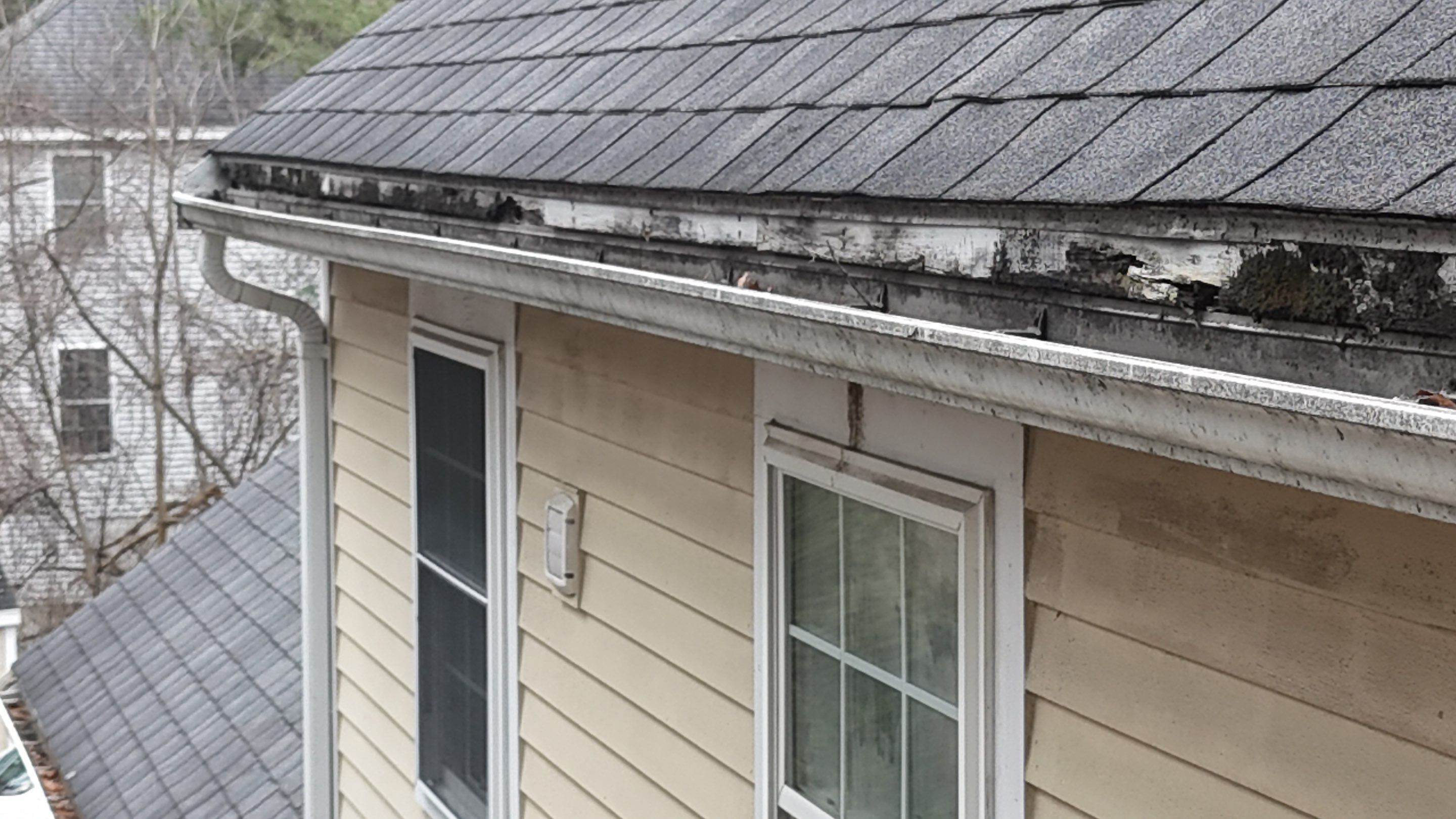 Full Roof Replacement & PVC Fascia Upgrade in Acton by Mighty Dog Roofing of Greater Middlesex County