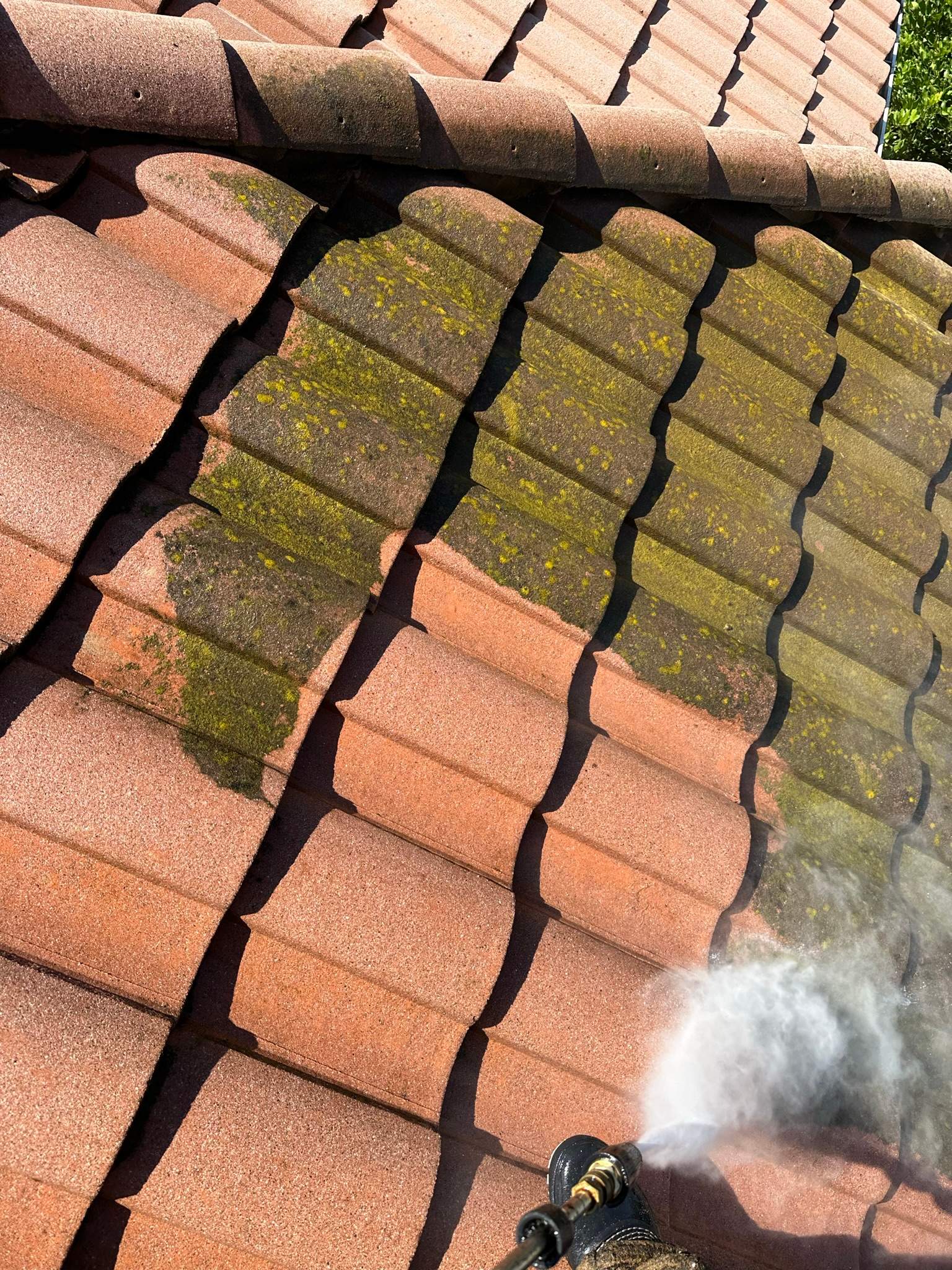 Roof wash on this dirty roof covered in algae by Property Cleaning Experts, LLC