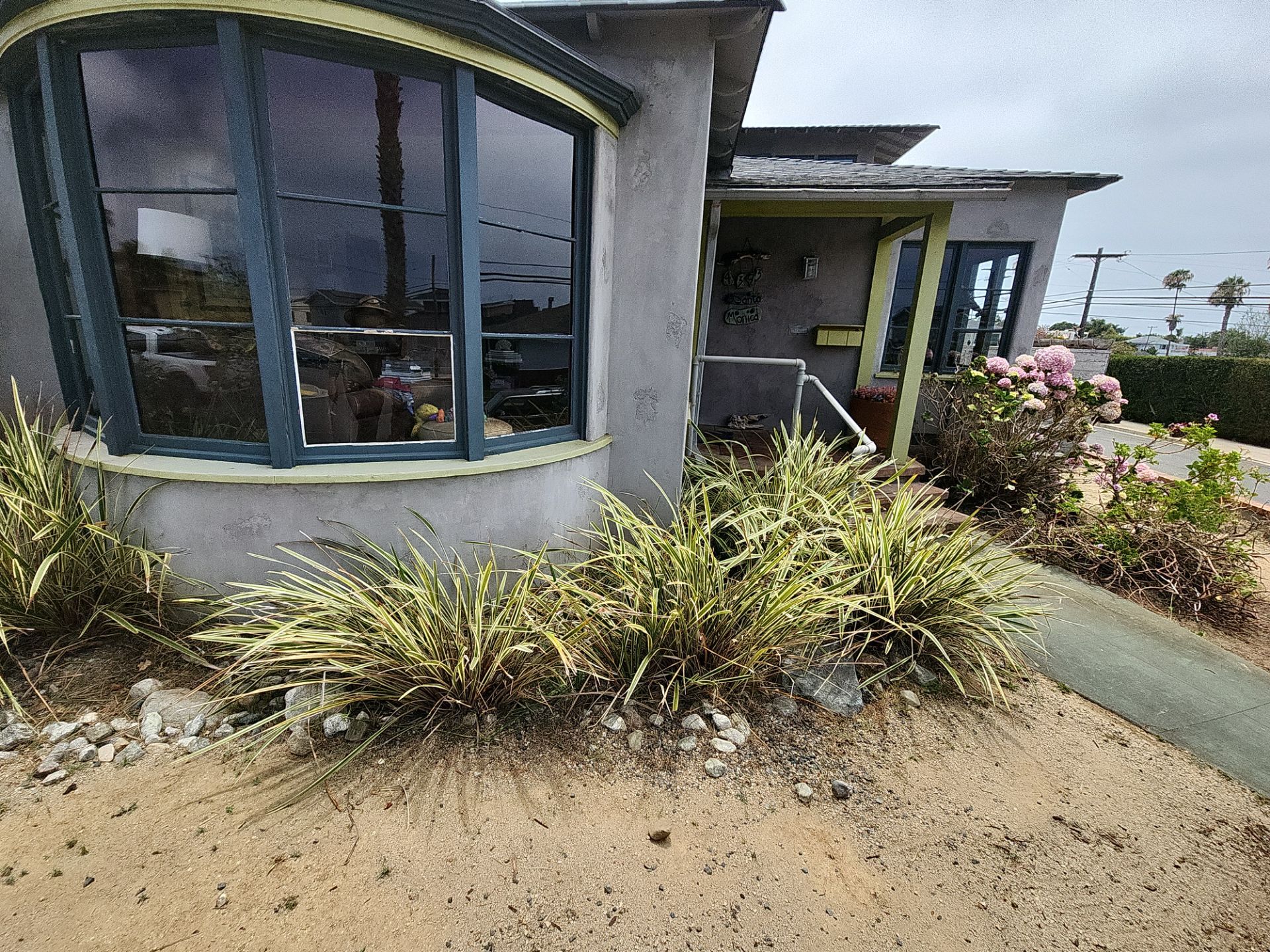 San Diego Landscape Clean Up by Yard Techs