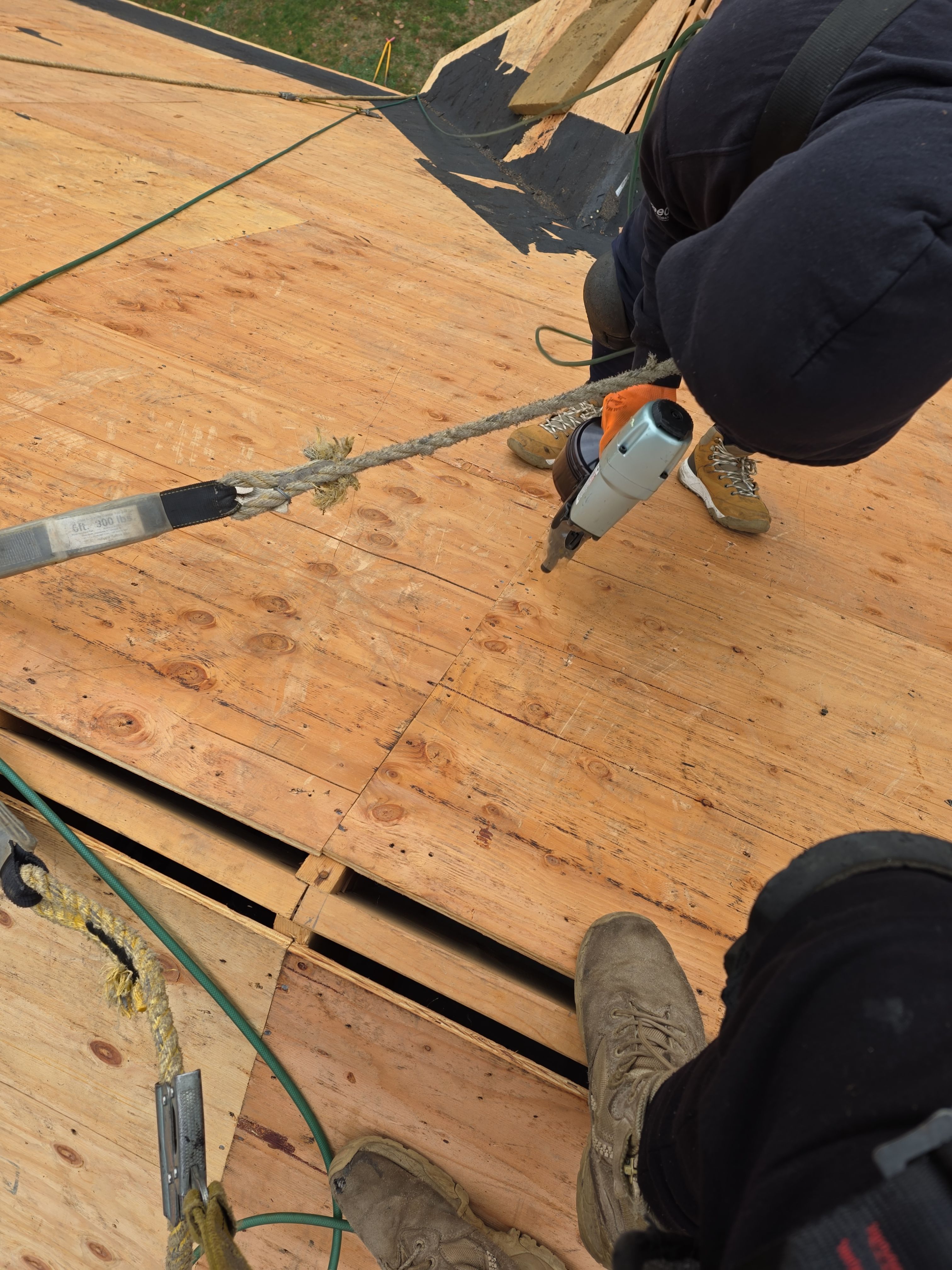 Project in Epping by WG Construction