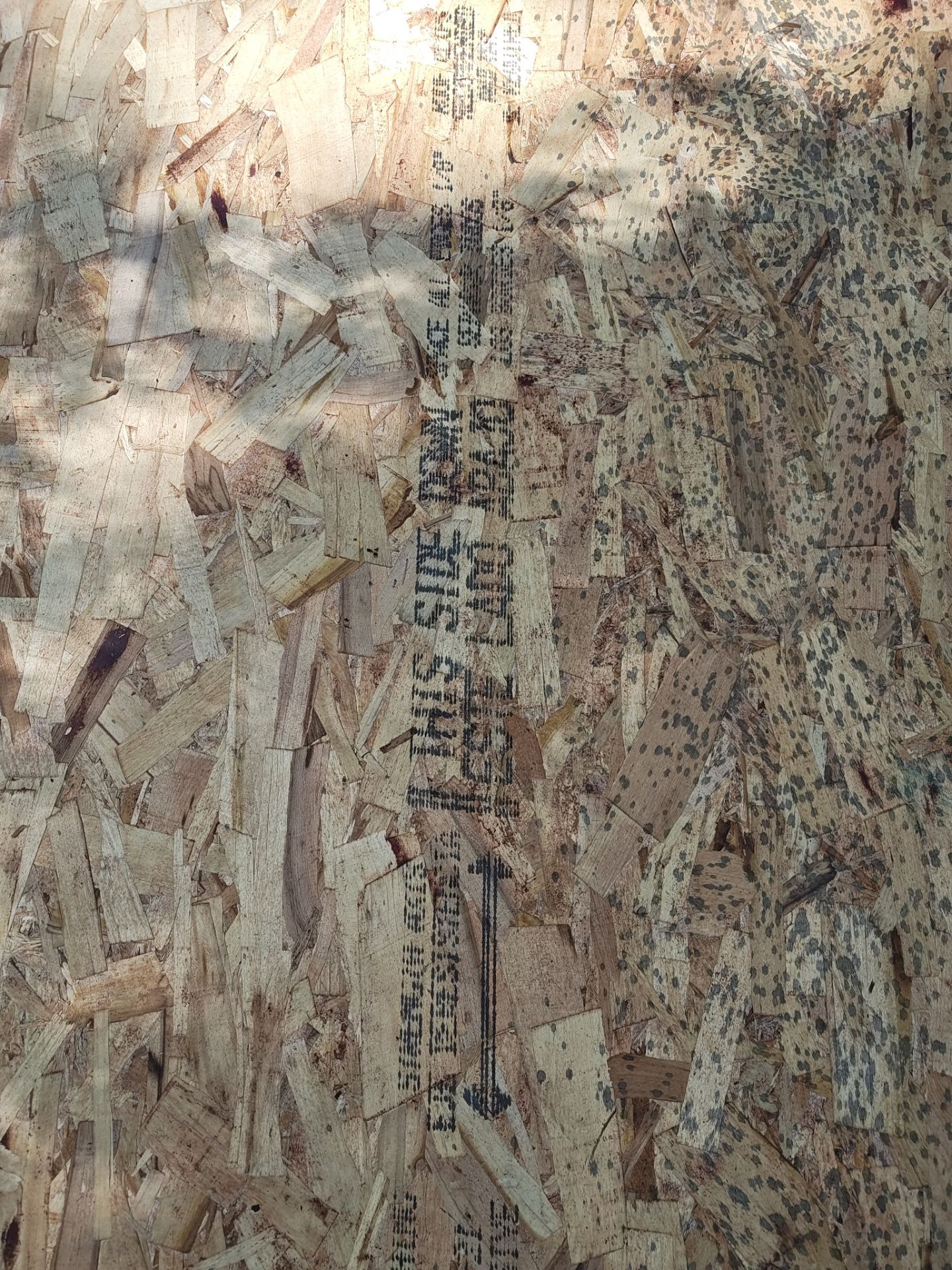 FORTIFIED ROOF in Rochester by Forever Fortified