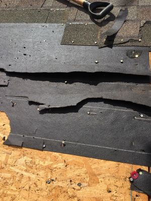 Project in Parker