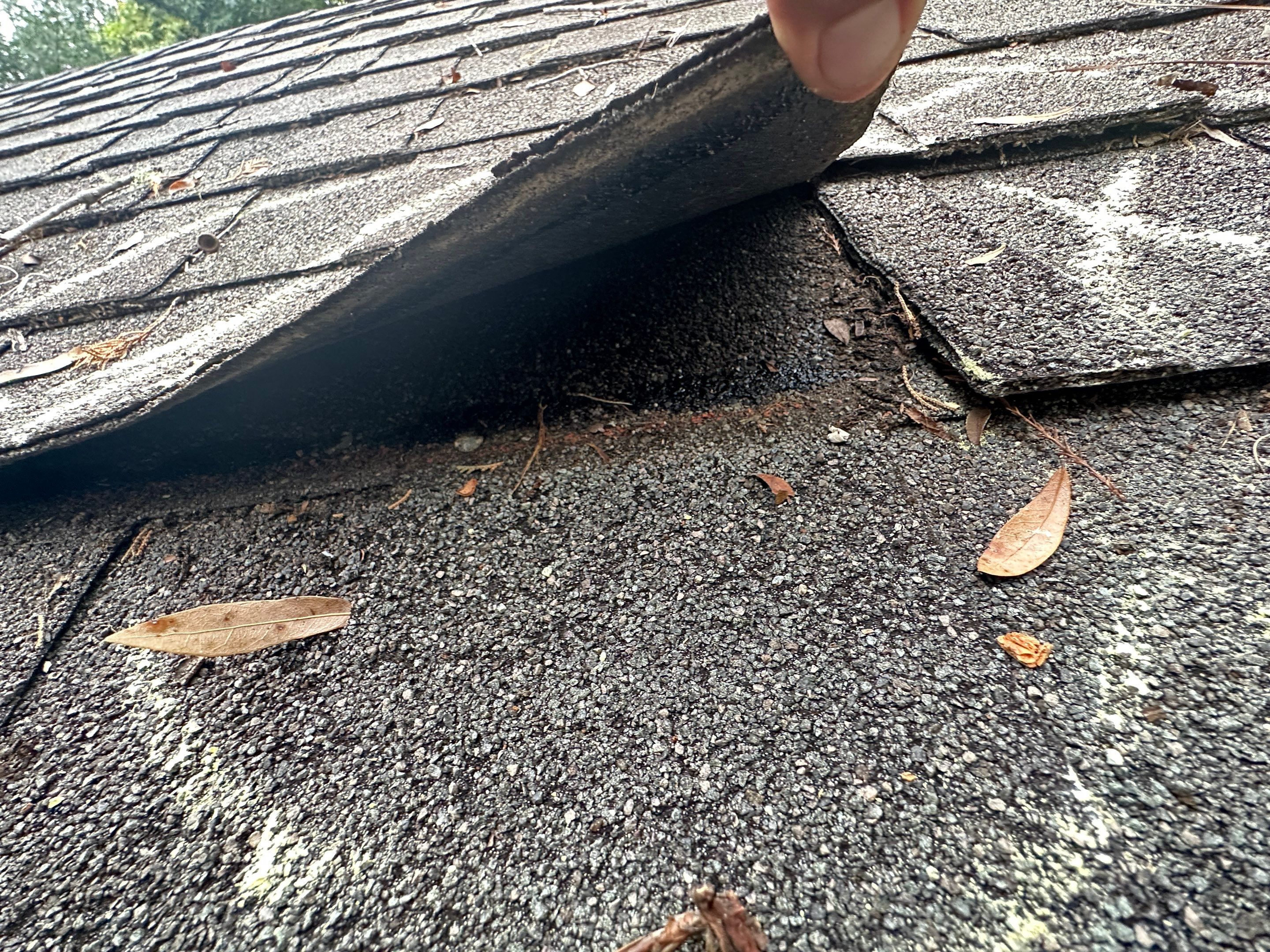 Roof Damage Claim in Pinetta by FLAPA & KeyStone