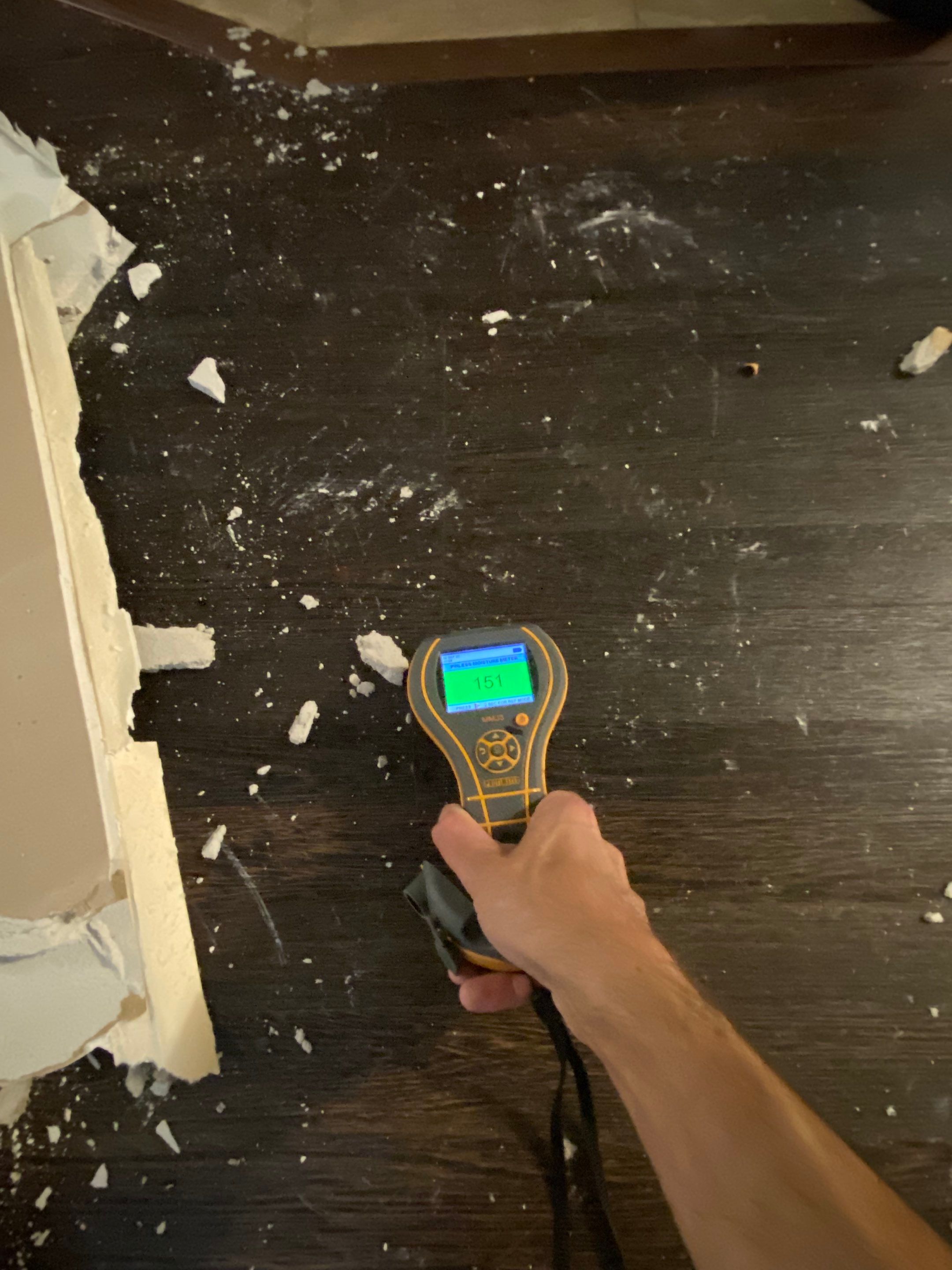 Project in Novi by EzDry Water Mitigation & Property Restoration