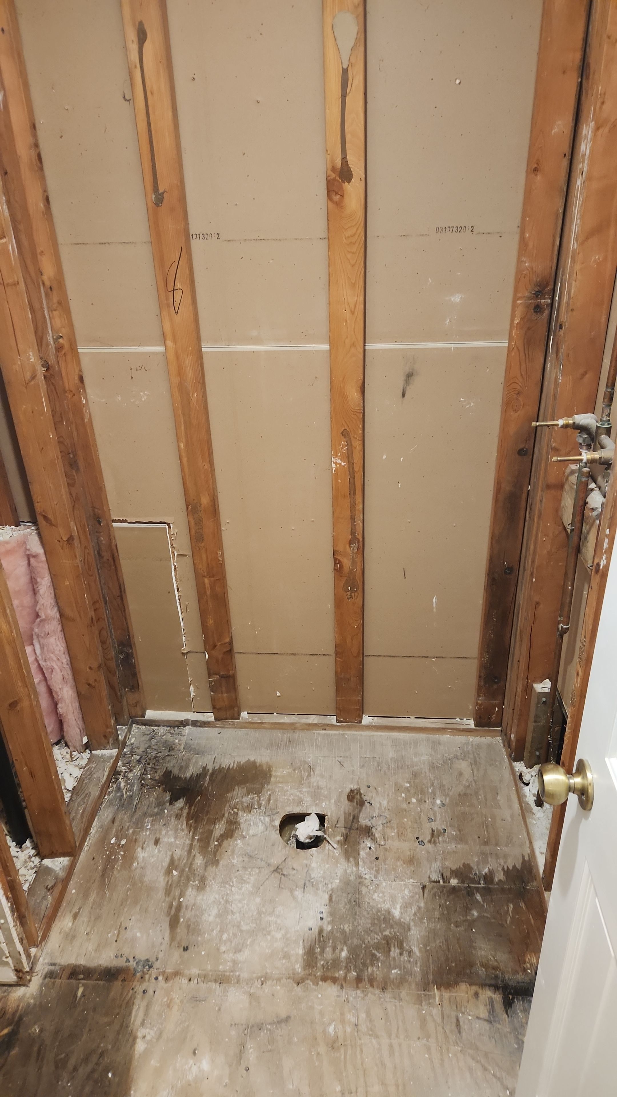 Acrylic shower, lifetime warranty by The Shower Company