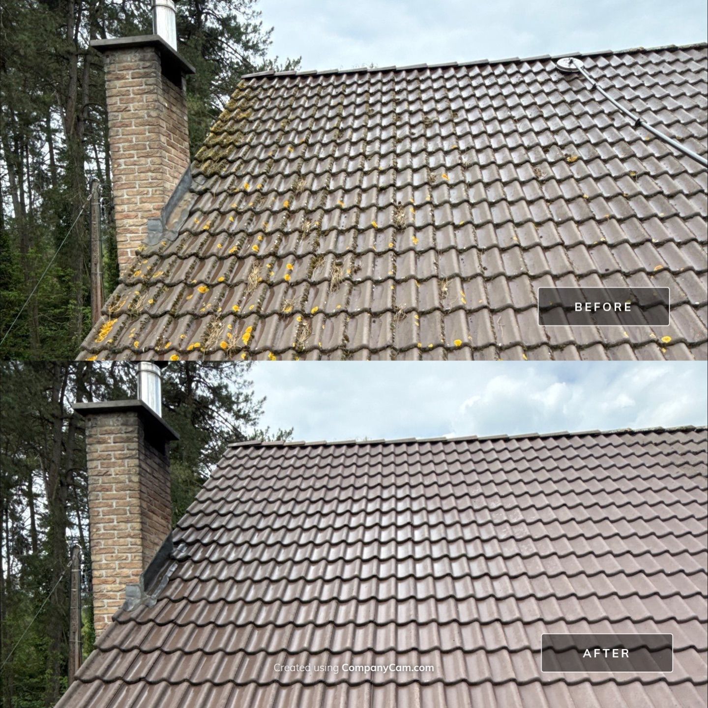 Project in Brecht by 2blox Srl