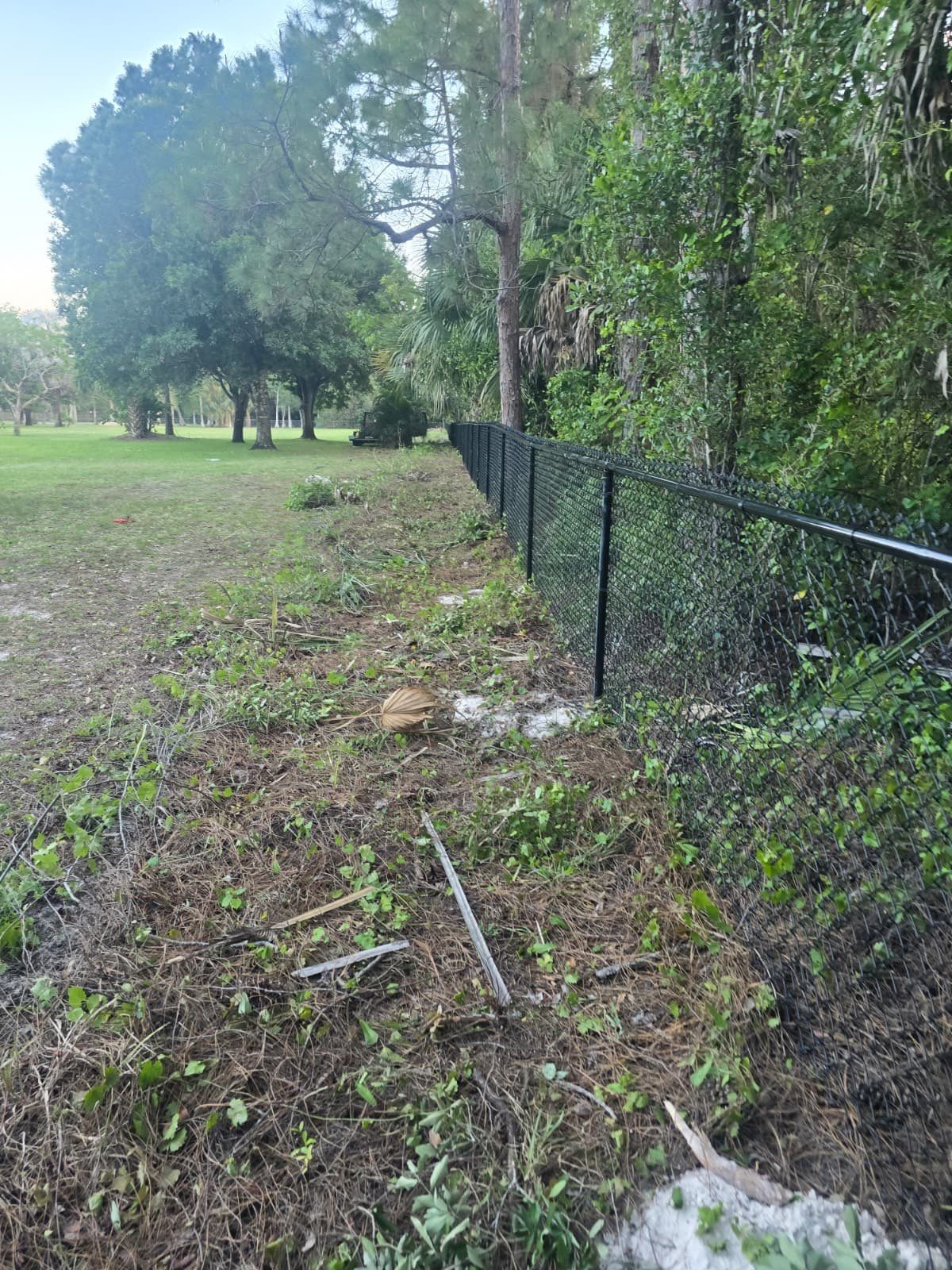 Chain Link Fence in Naples by True Fence LLC