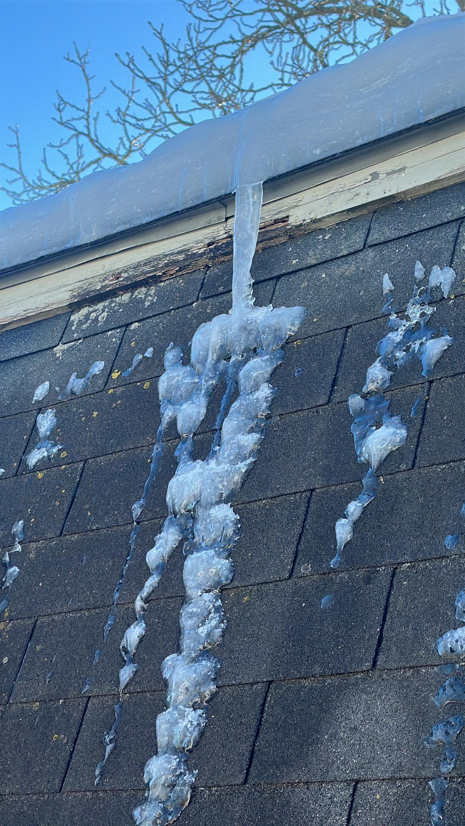 Ice Dam Removal in Haverhill, MA by Mighty Dog Roofing of Greater Middlesex County