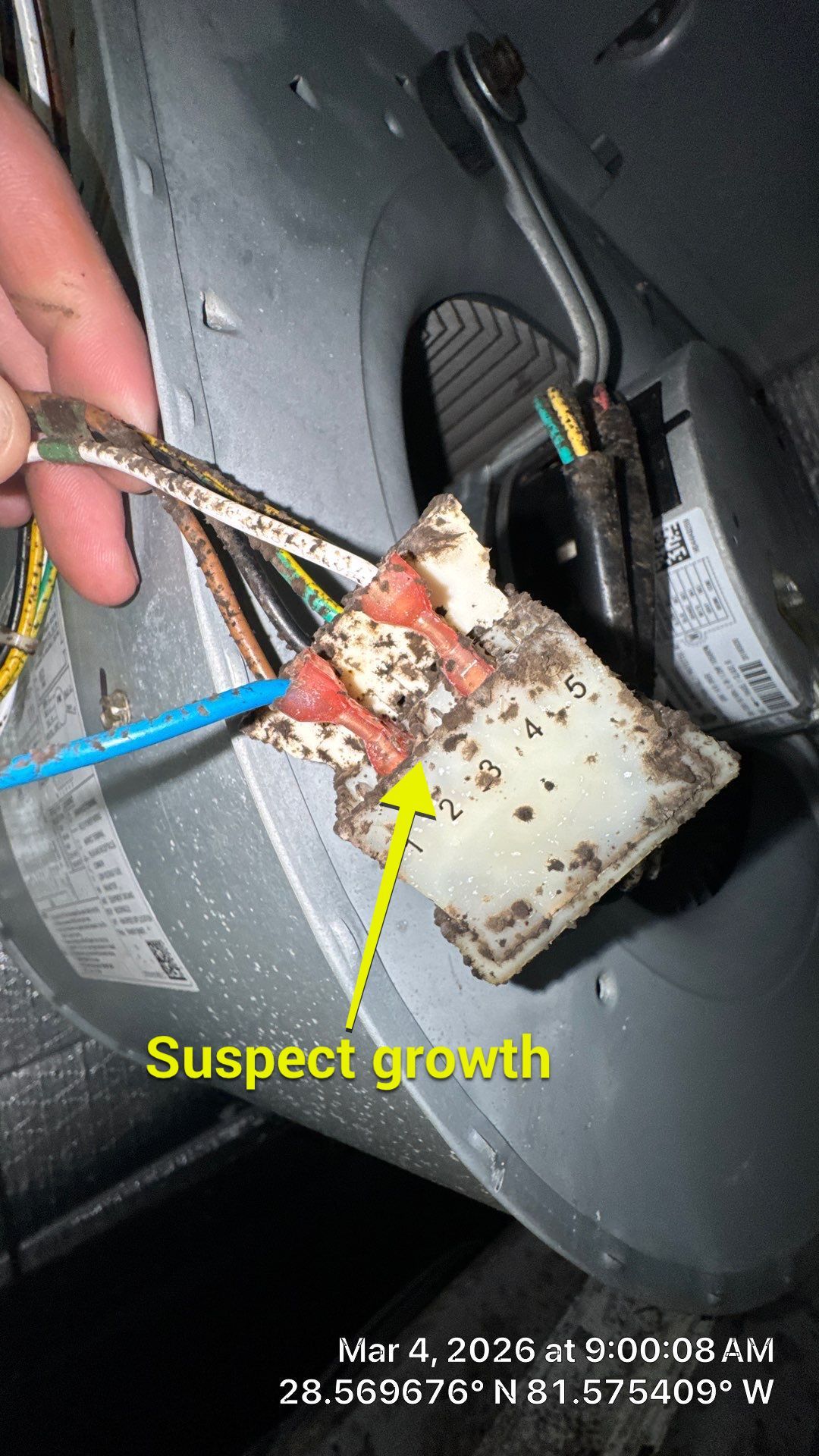 Air Duct Cleaning in Winter Garden by Hygienic Air, Inc