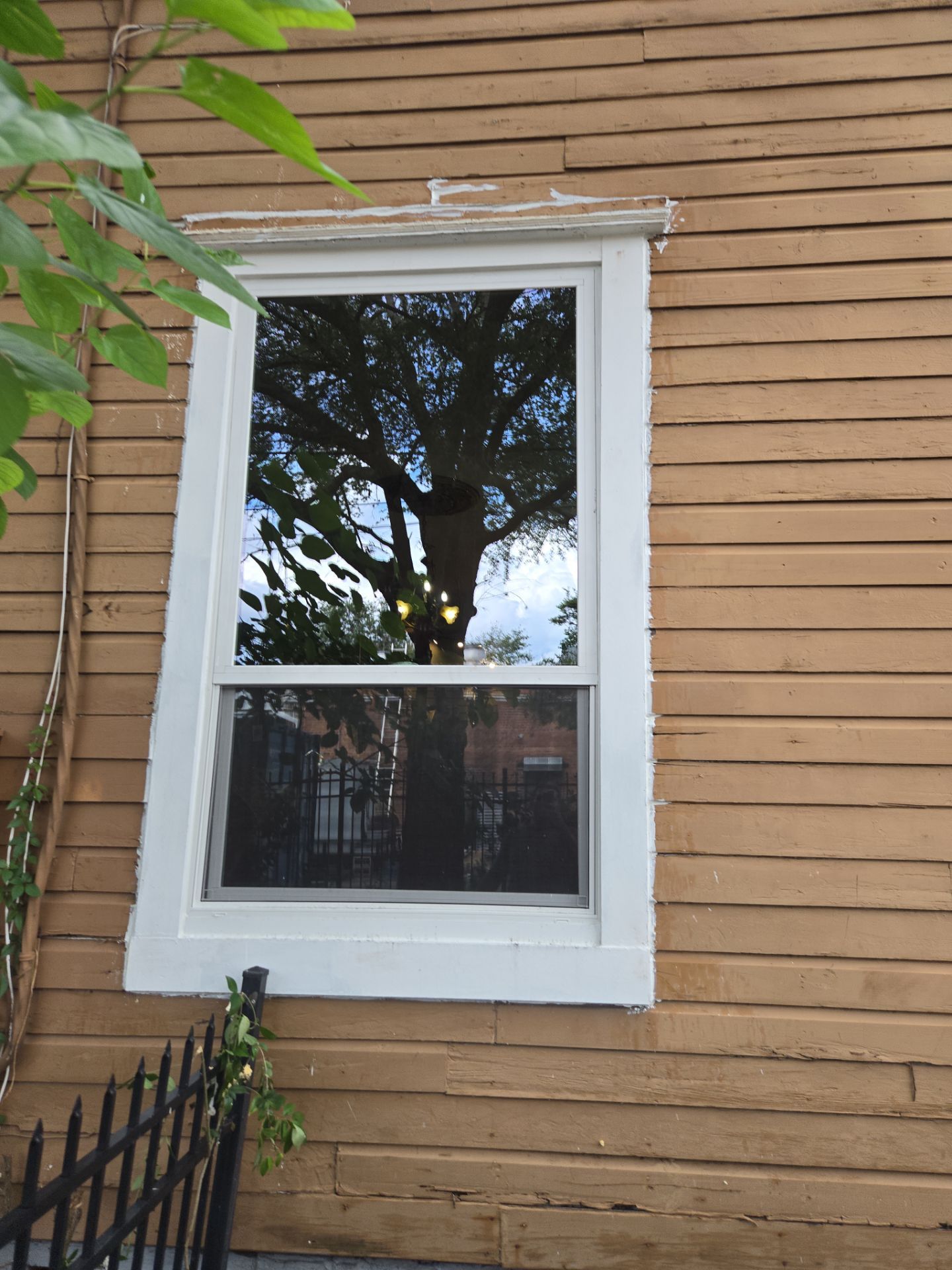 Whole-Home Andersen Window Replacement and Rot Repair in Jacksonville by Windows & Doors Store
