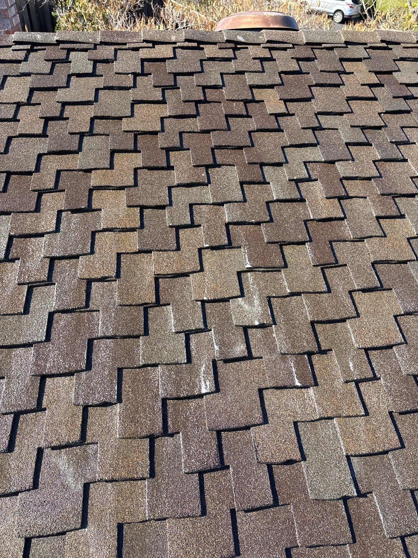 Moss Removal by Top Elevation