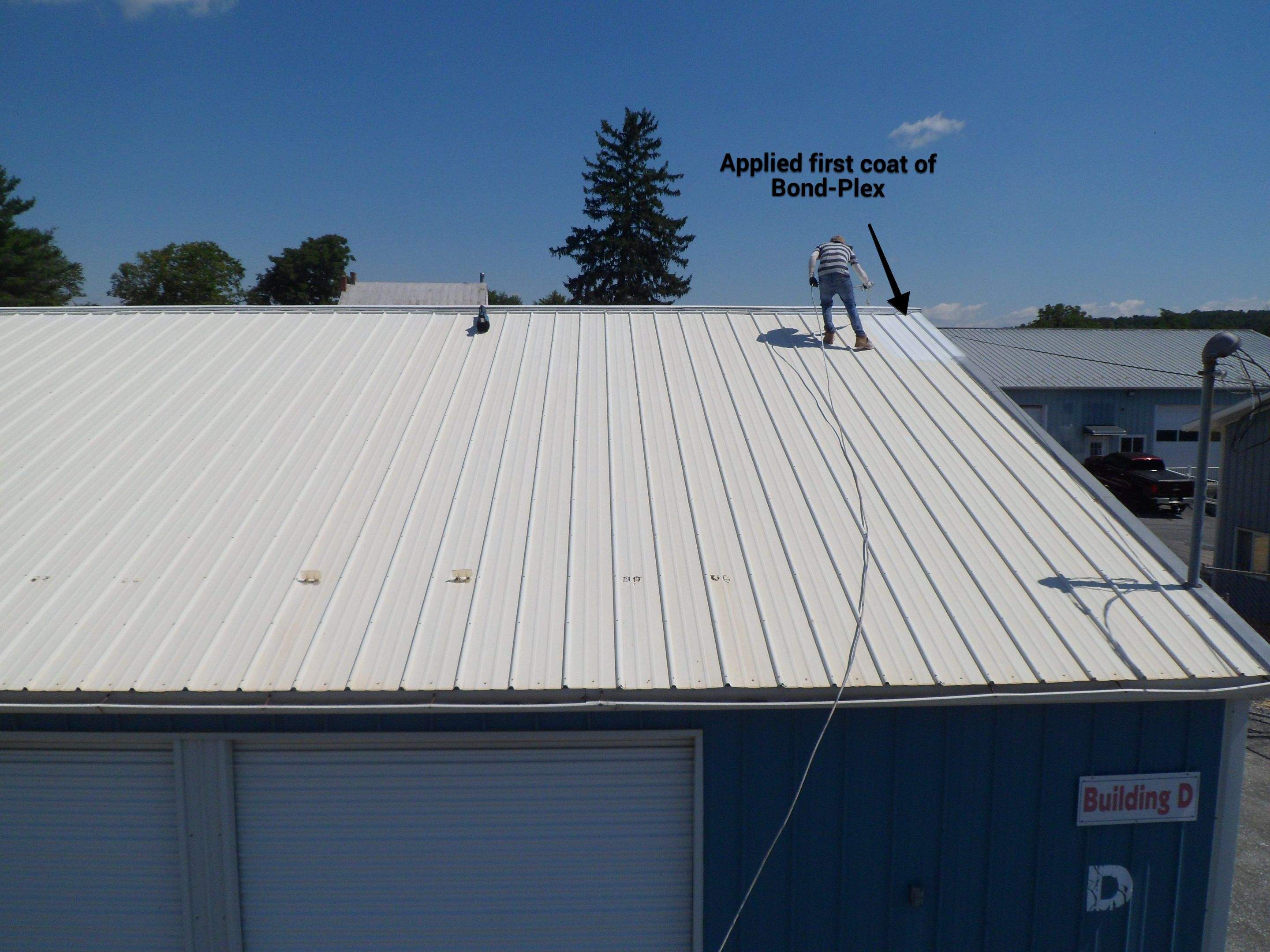 Exterior Painting by Alpha Design Services