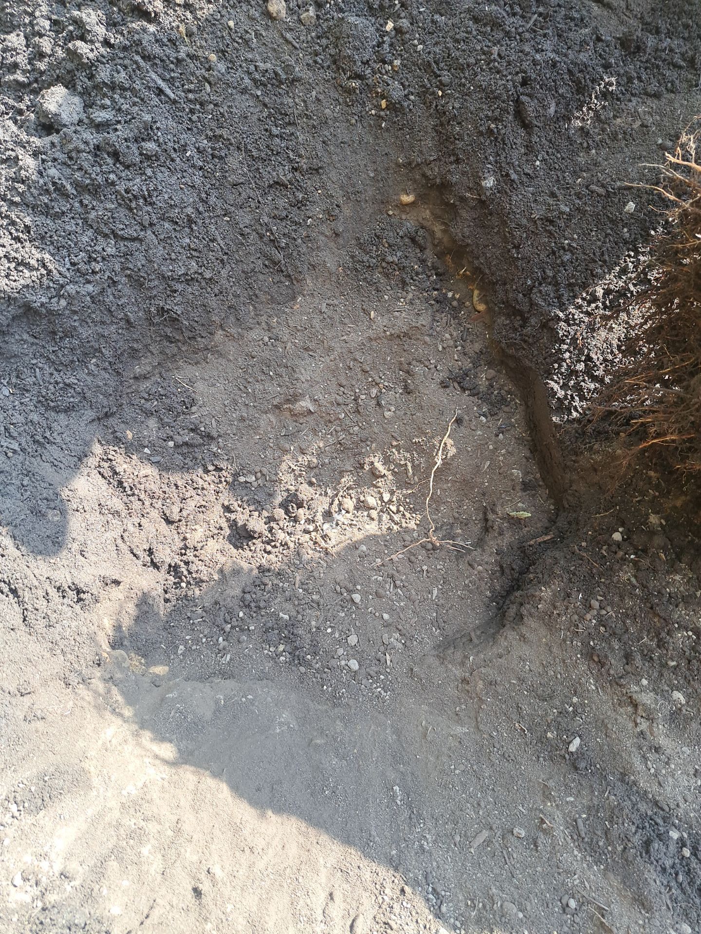 Jim | Rockery Wall, Landscaping, Road Repair & Sealcoating by Jireh Asphalt & Concrete Inc 