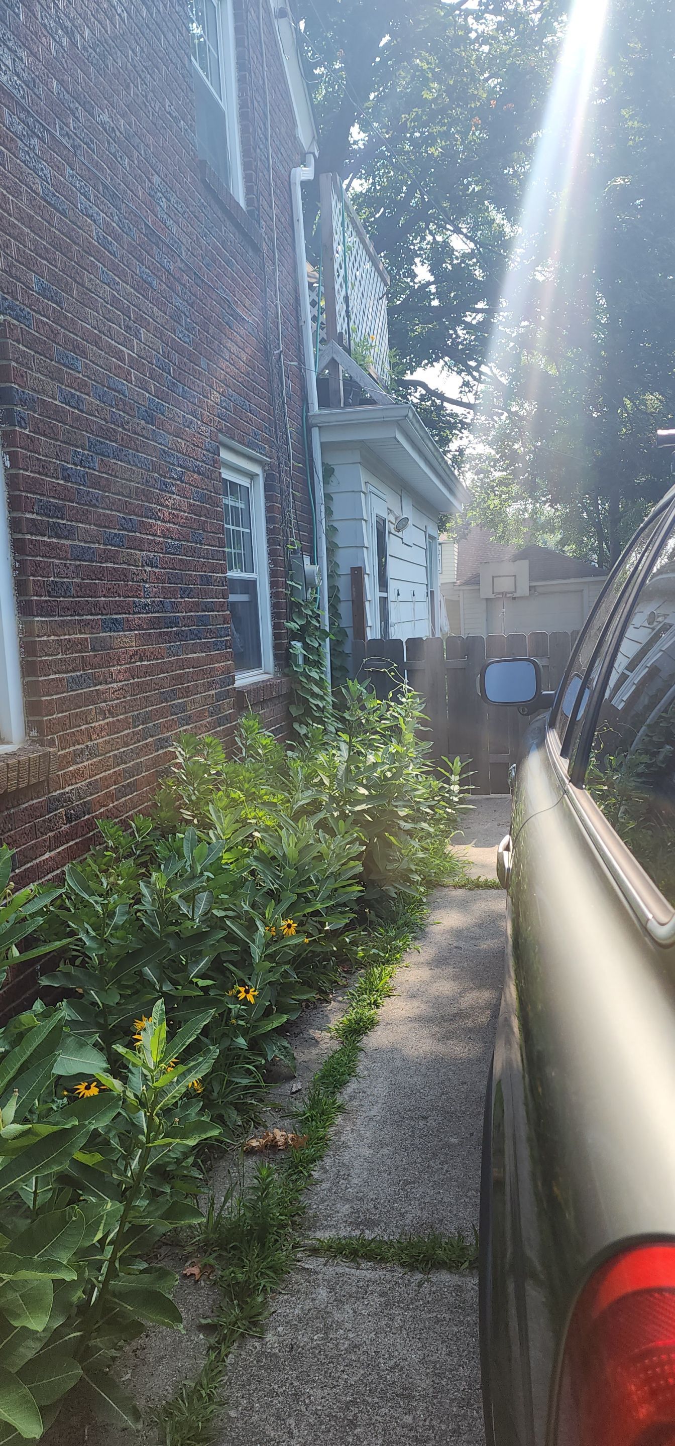 Interior Waterproofing by Toledo Basement Repair 