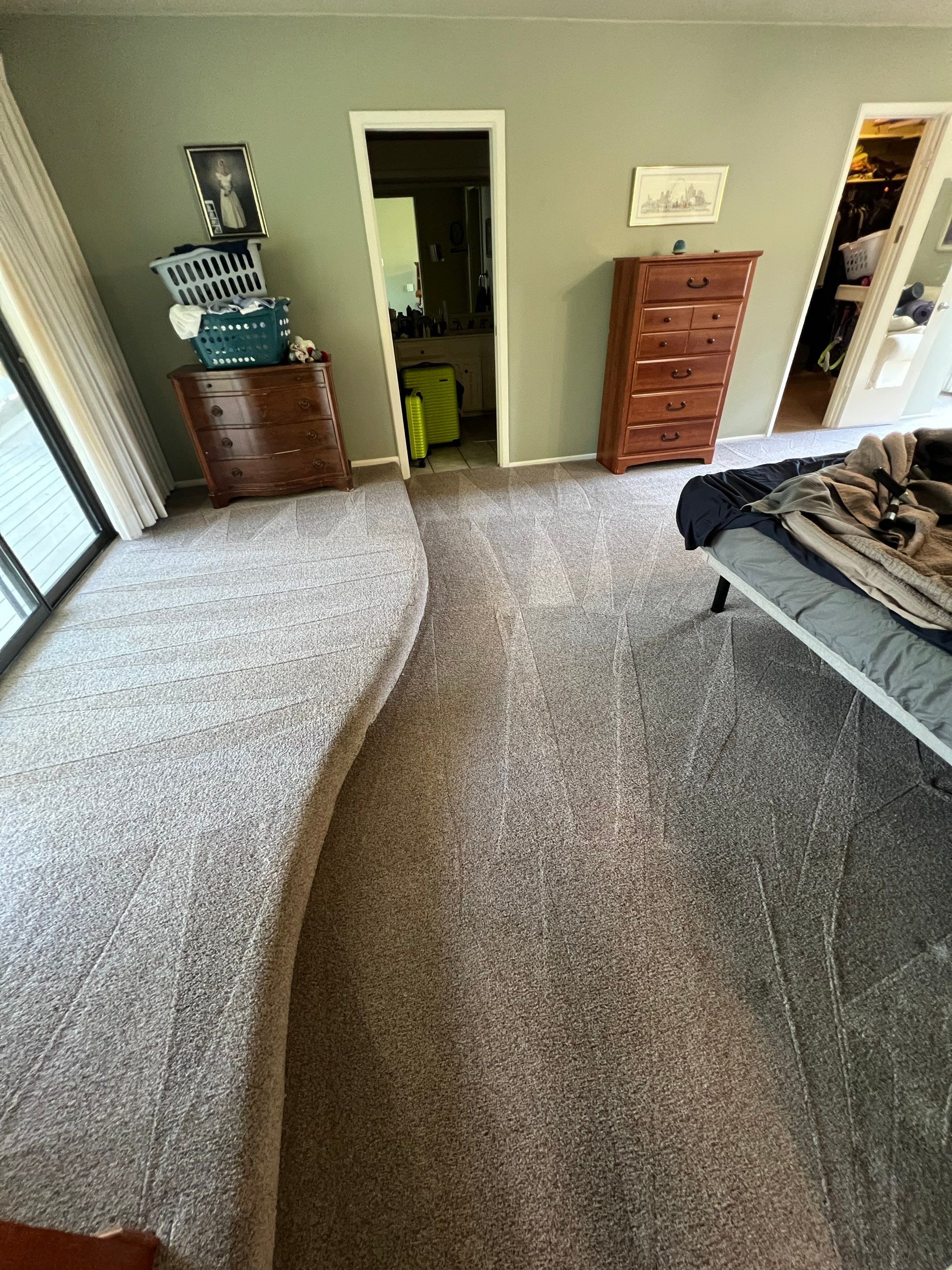 carpet cleaning is in progress with visible cleaned and uncleaned sections showing differences in appearance and texture