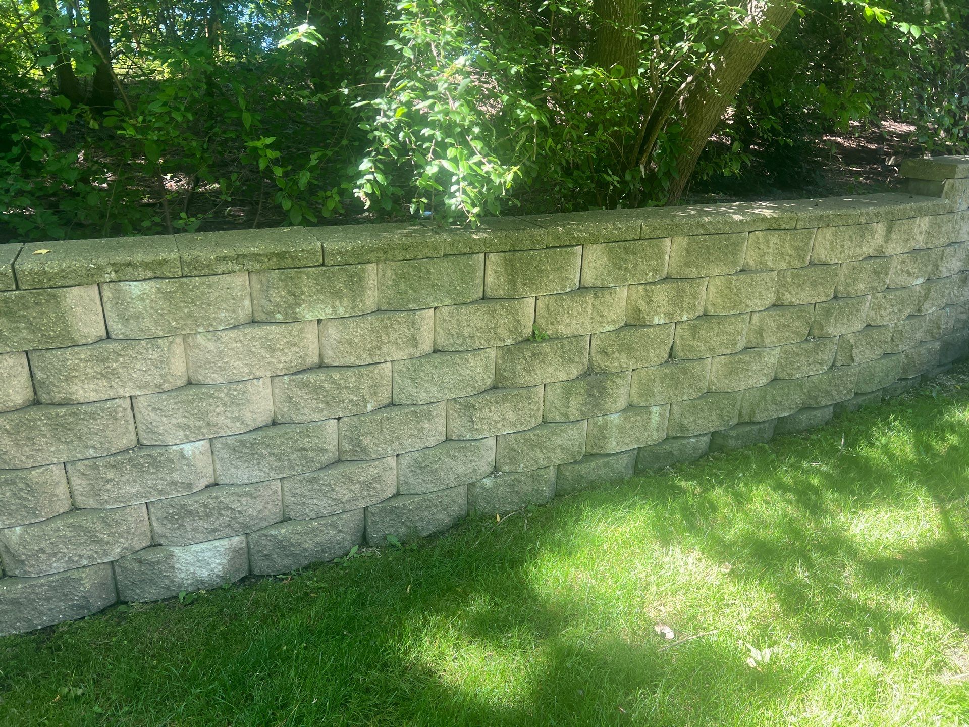 concrete cleaning using Algaecide, soft wash soap by Northern Power Washing LLC.