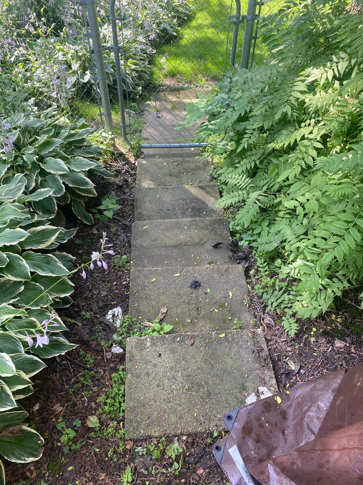 Wood and path clean by Shulla Exterior Cleaning