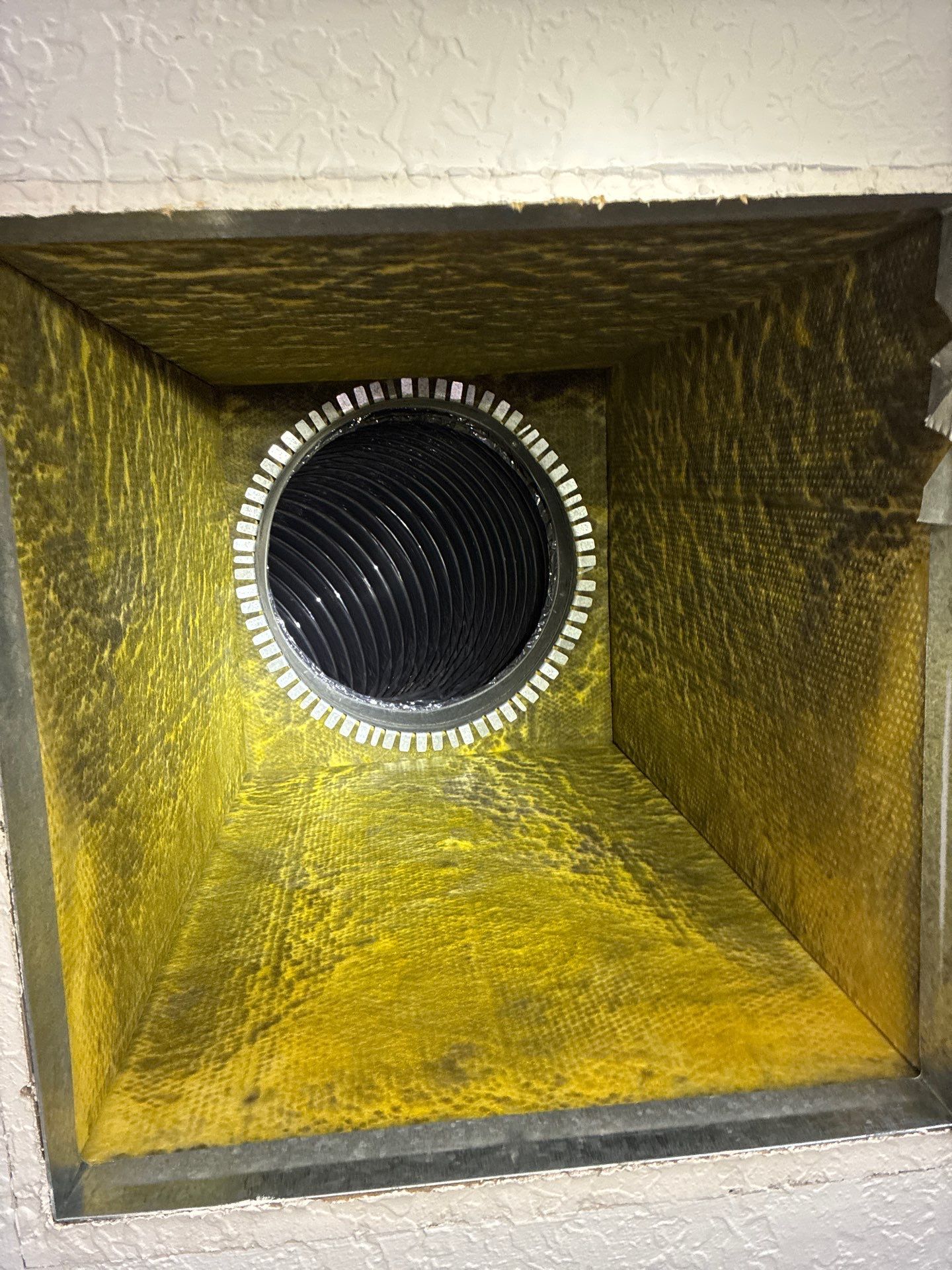 AIr Duct Cleaning in Clermont by Hygienic Air, Inc