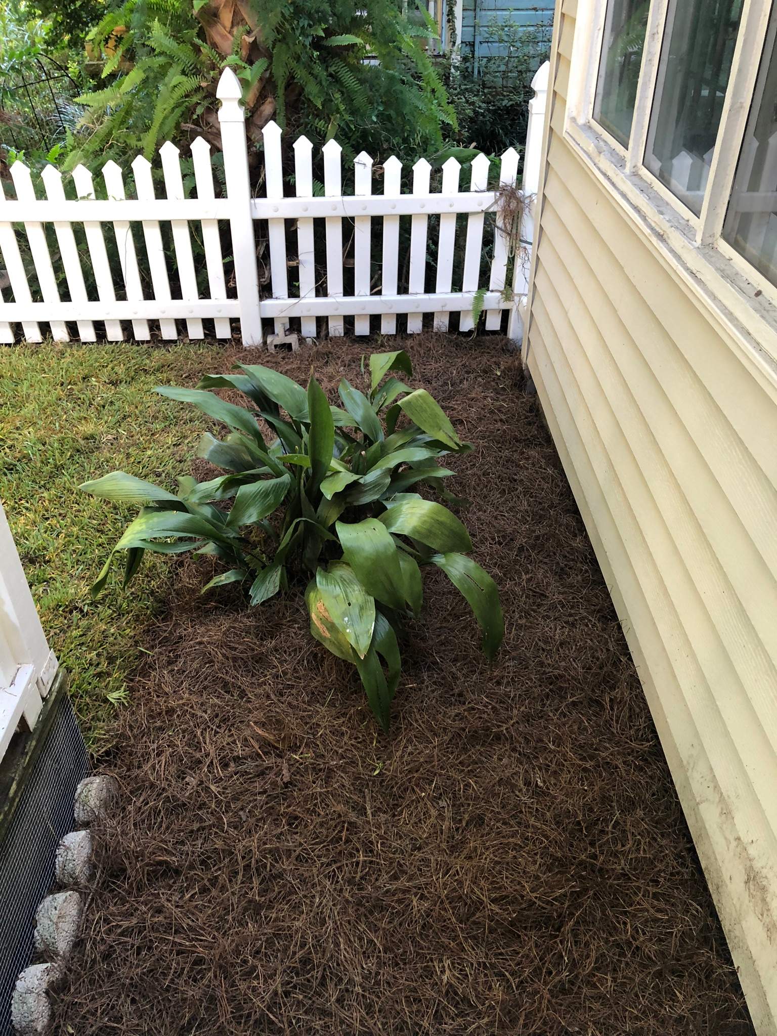 Extreme Clean Up - Landscape Install | Residential by ProGreen Services