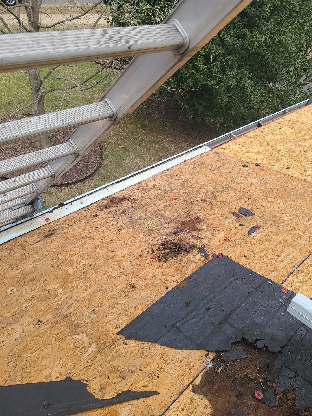 Falls Church: Residential Roof Replacement with CertainTeed Landmark Pro in Max Def Colonial Slate by RM Banning, Inc.