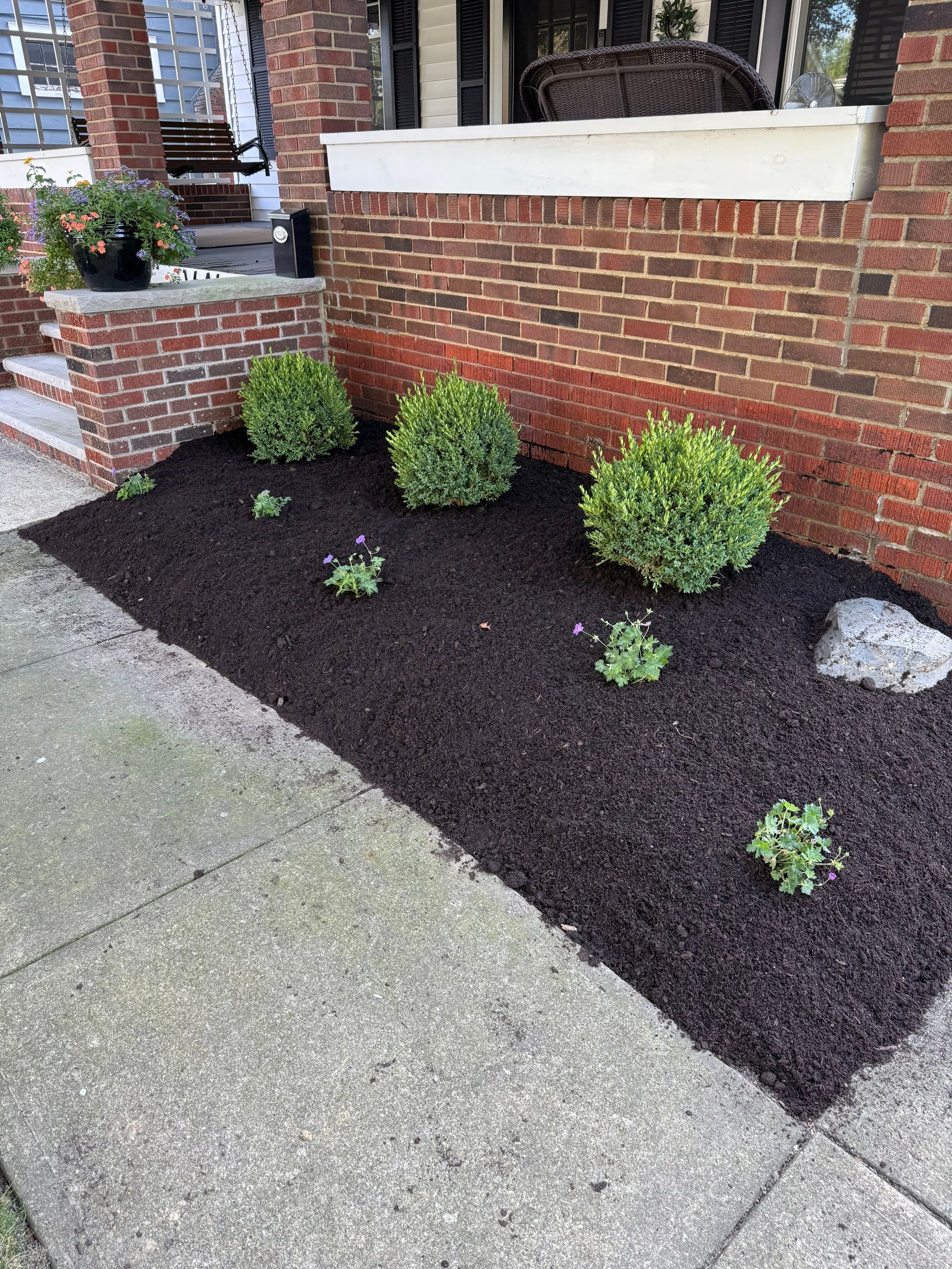 Modern Magnolia Project by Elm Rose Gardens