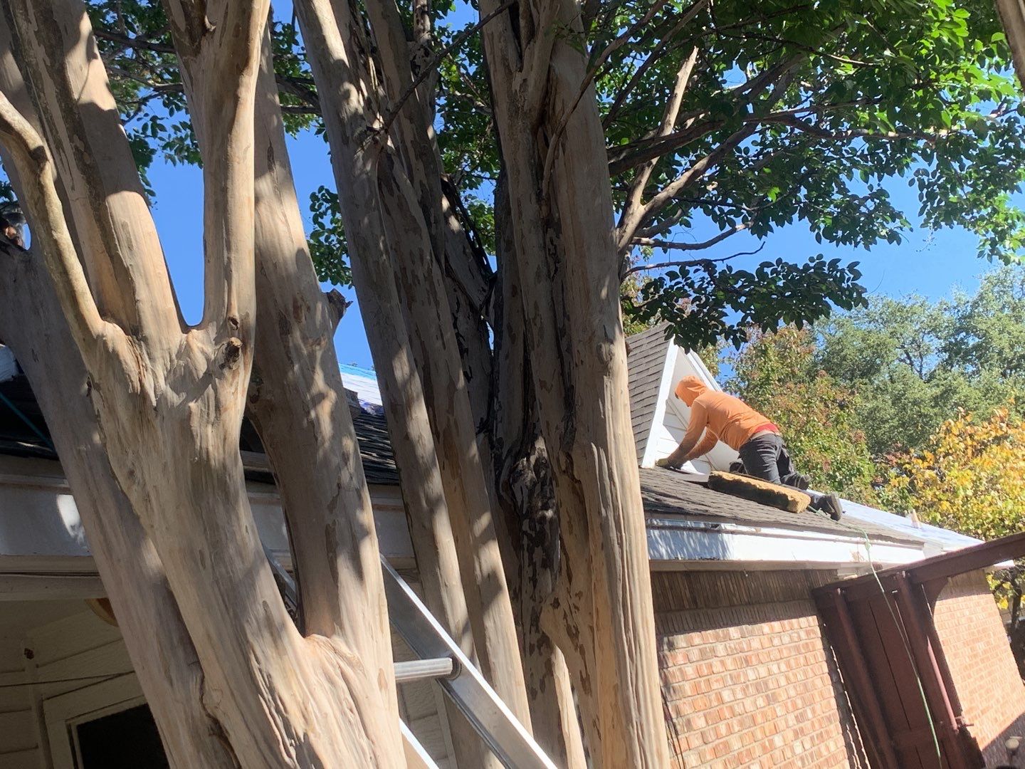 Project in Cedar Hill by 6D Roofing & Consulting, LLC