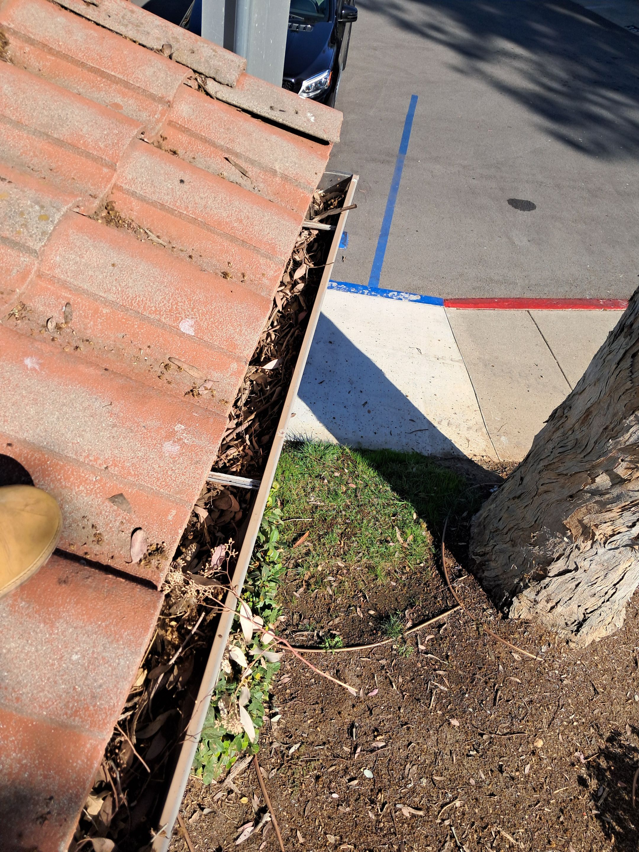 HOA gutter cleaning in Thousand Oaks & Simi Valley, CA,before  photo showing full gutters.