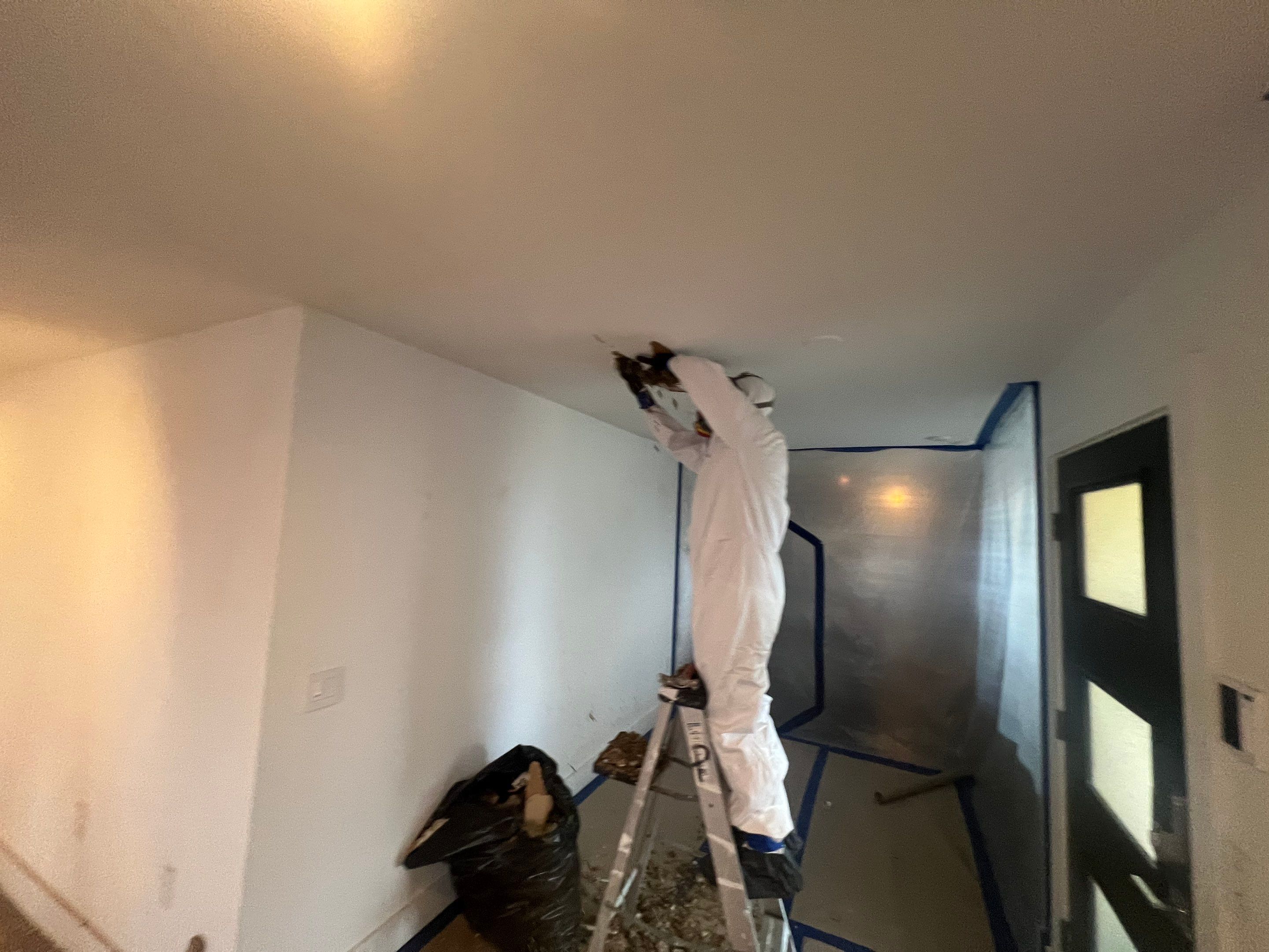 Windstorm Damage & Multi-Room Water Mitigation in St. Petersburg by Right On Time Restoration