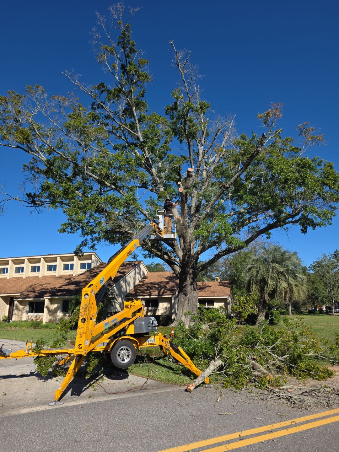 Deerwood Resident | Tree Removal & Stump Grinding by ProGreen Services